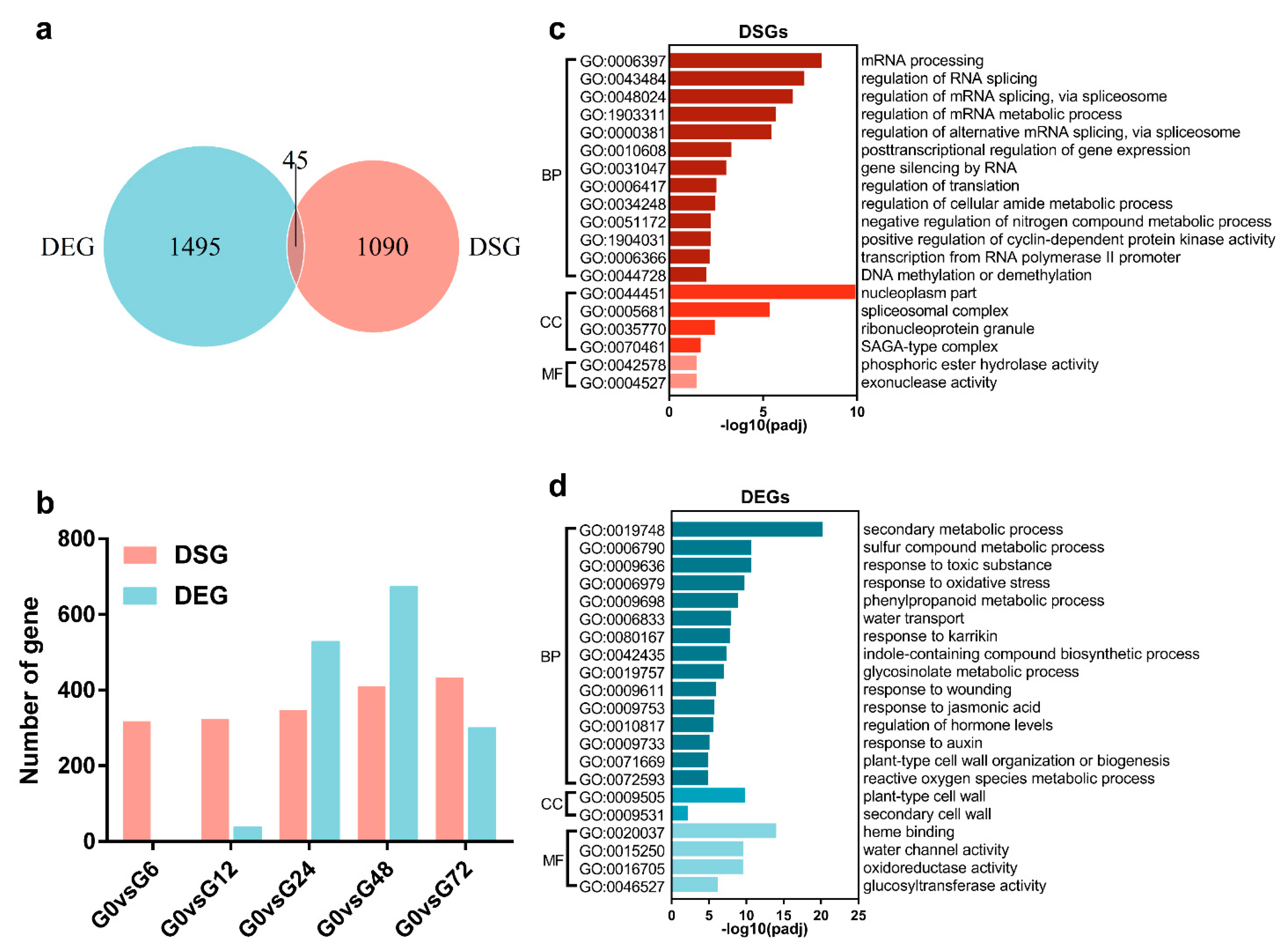 Genes 11 01078 g002