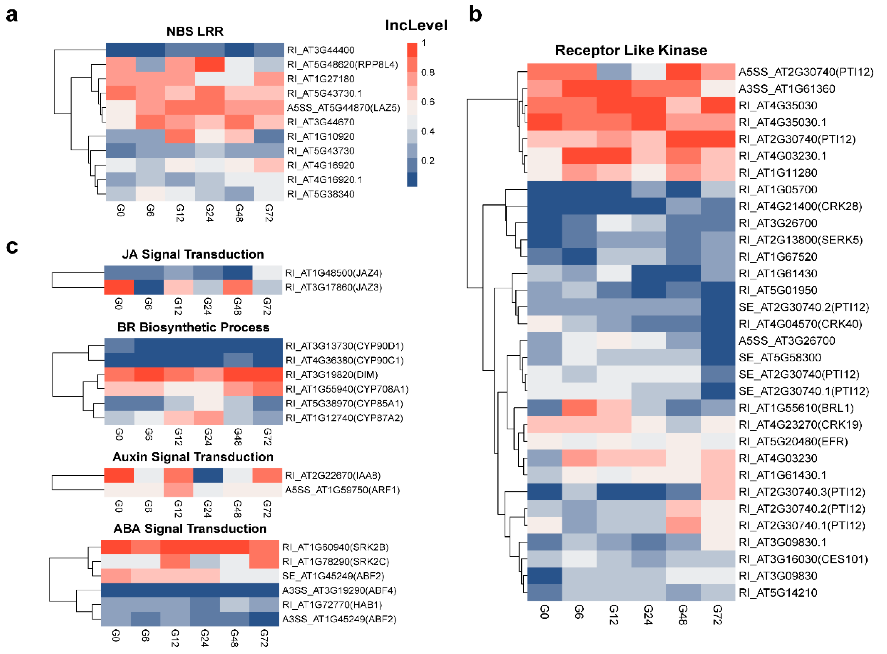 Genes 11 01078 g005