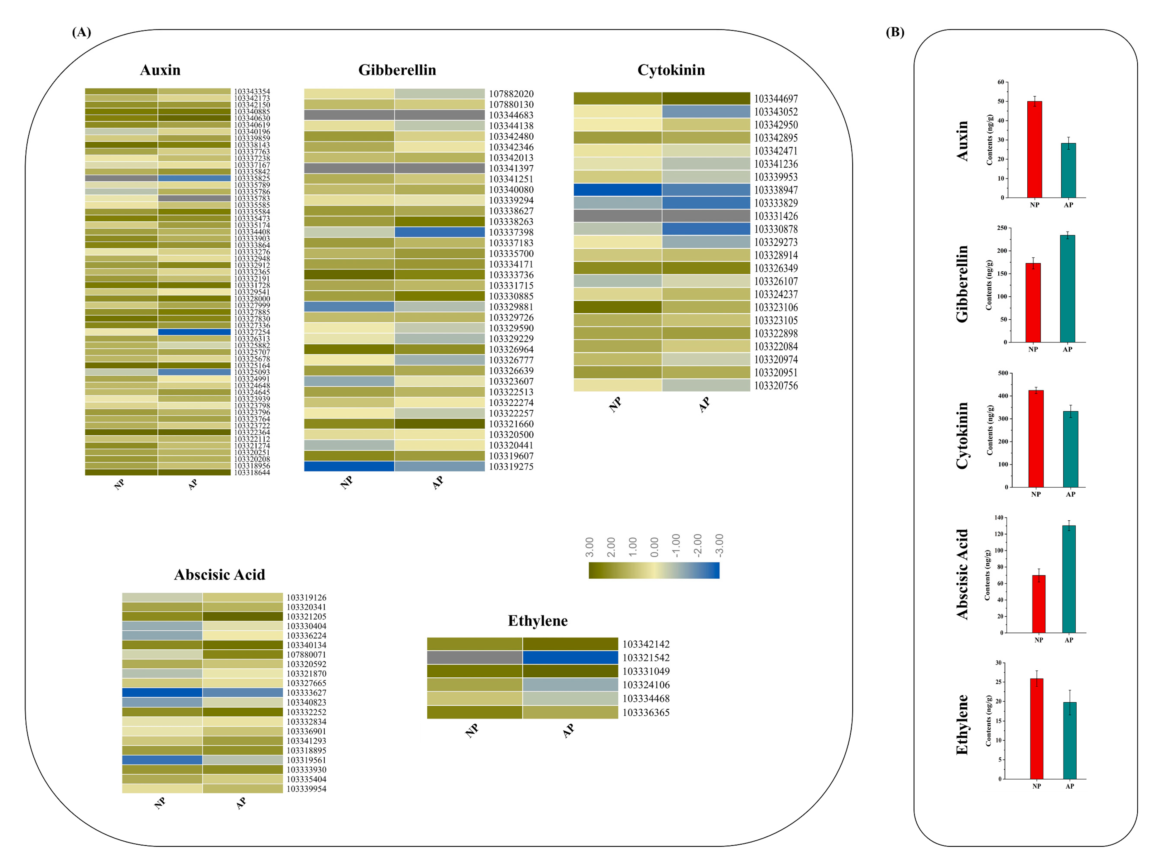 Genes 11 01079 g005 Genes 11 01079 g005