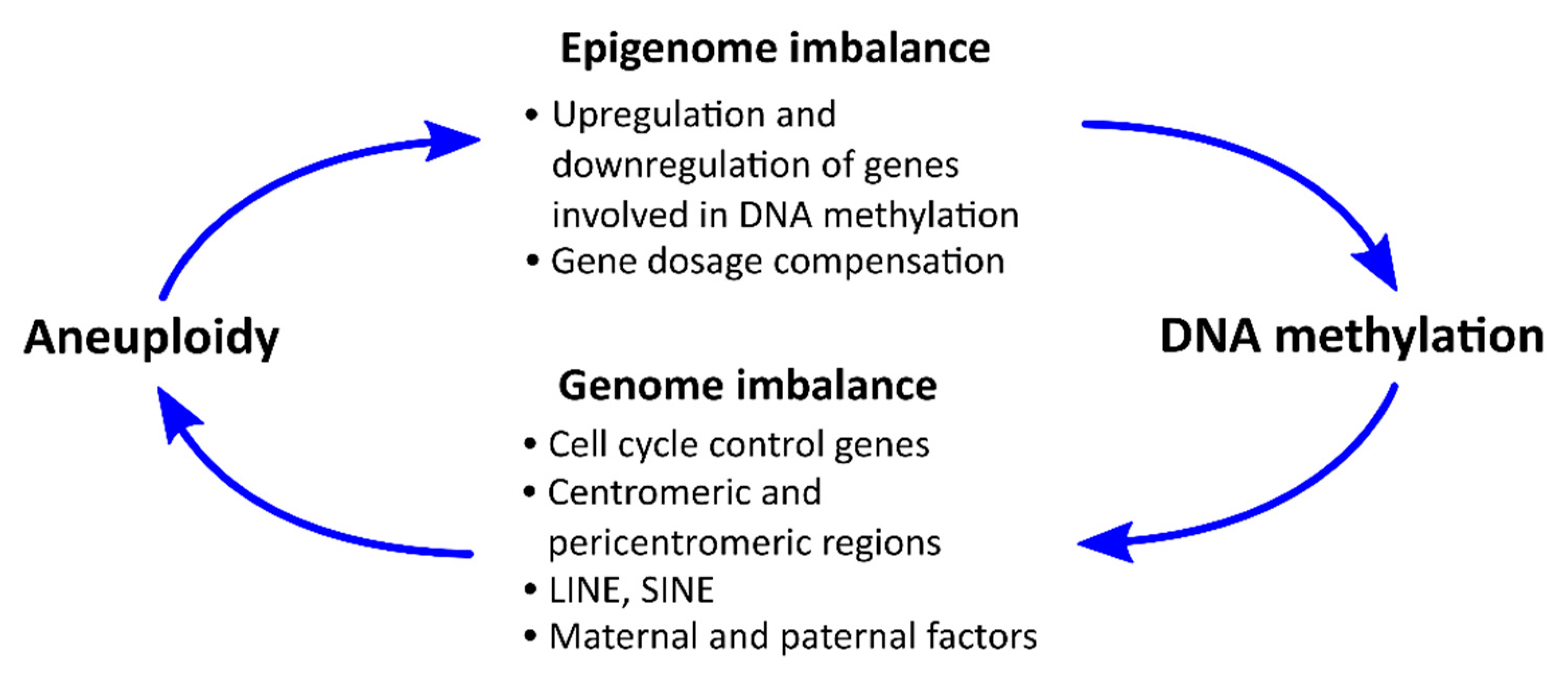 Genes 11 01084 g003 Genes 11 01084 g003