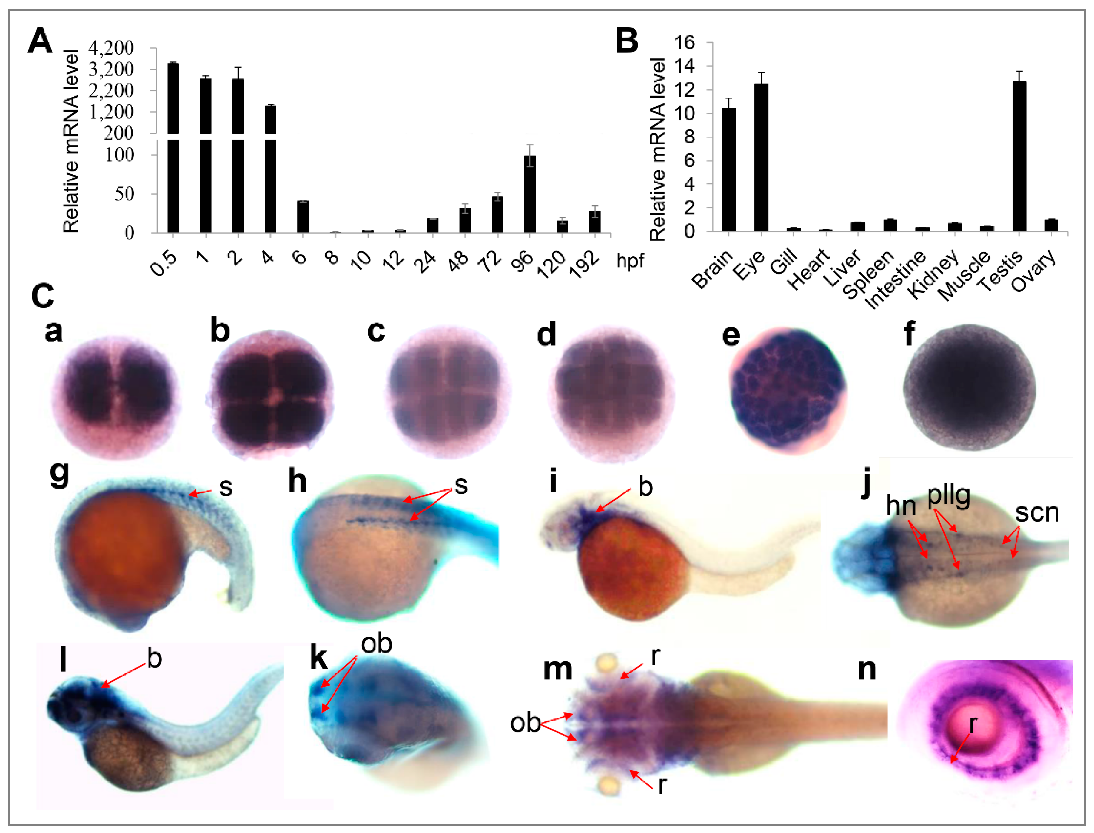 Genes 11 01118 g002 Genes 11 01118 g002