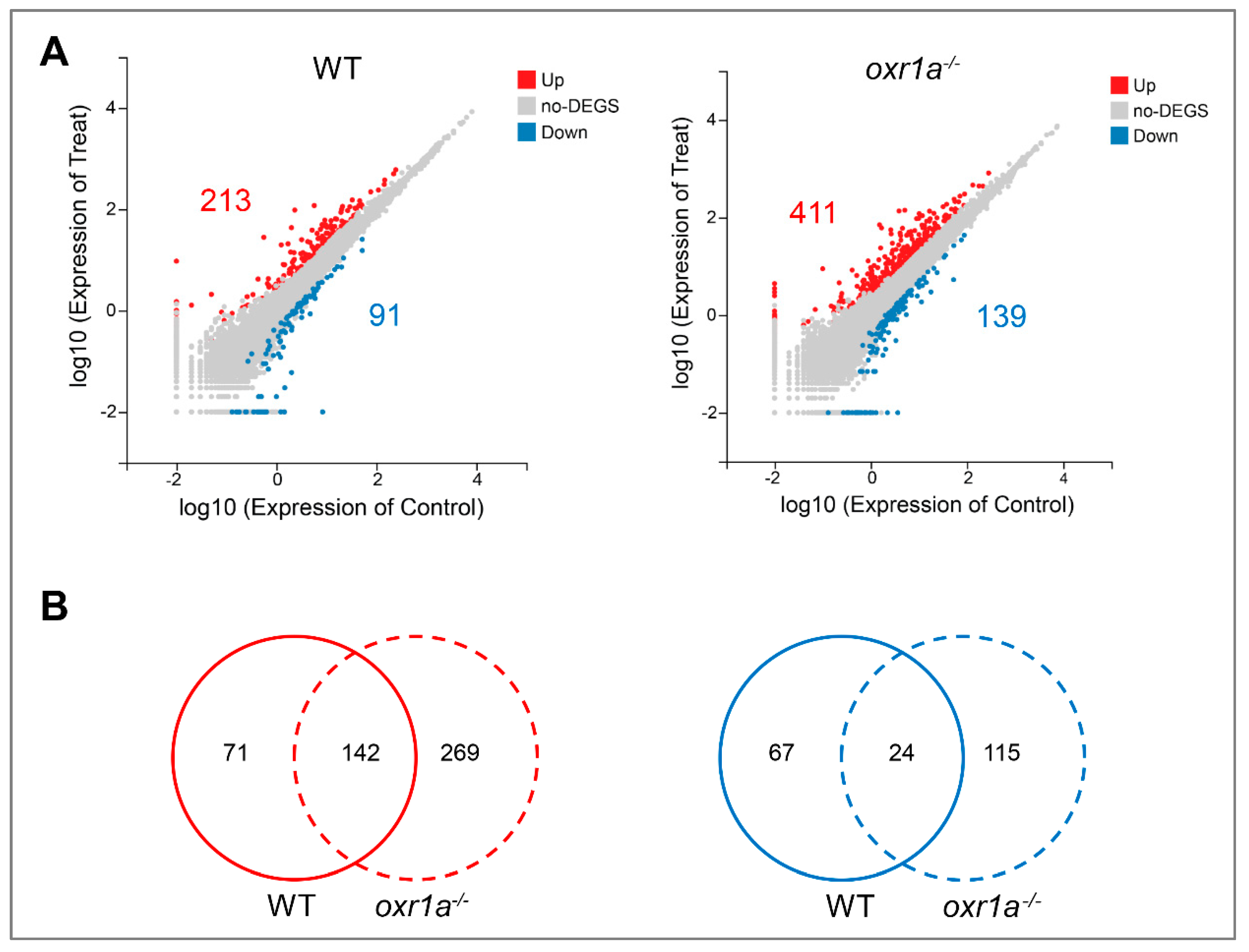 Genes 11 01118 g008 Genes 11 01118 g008