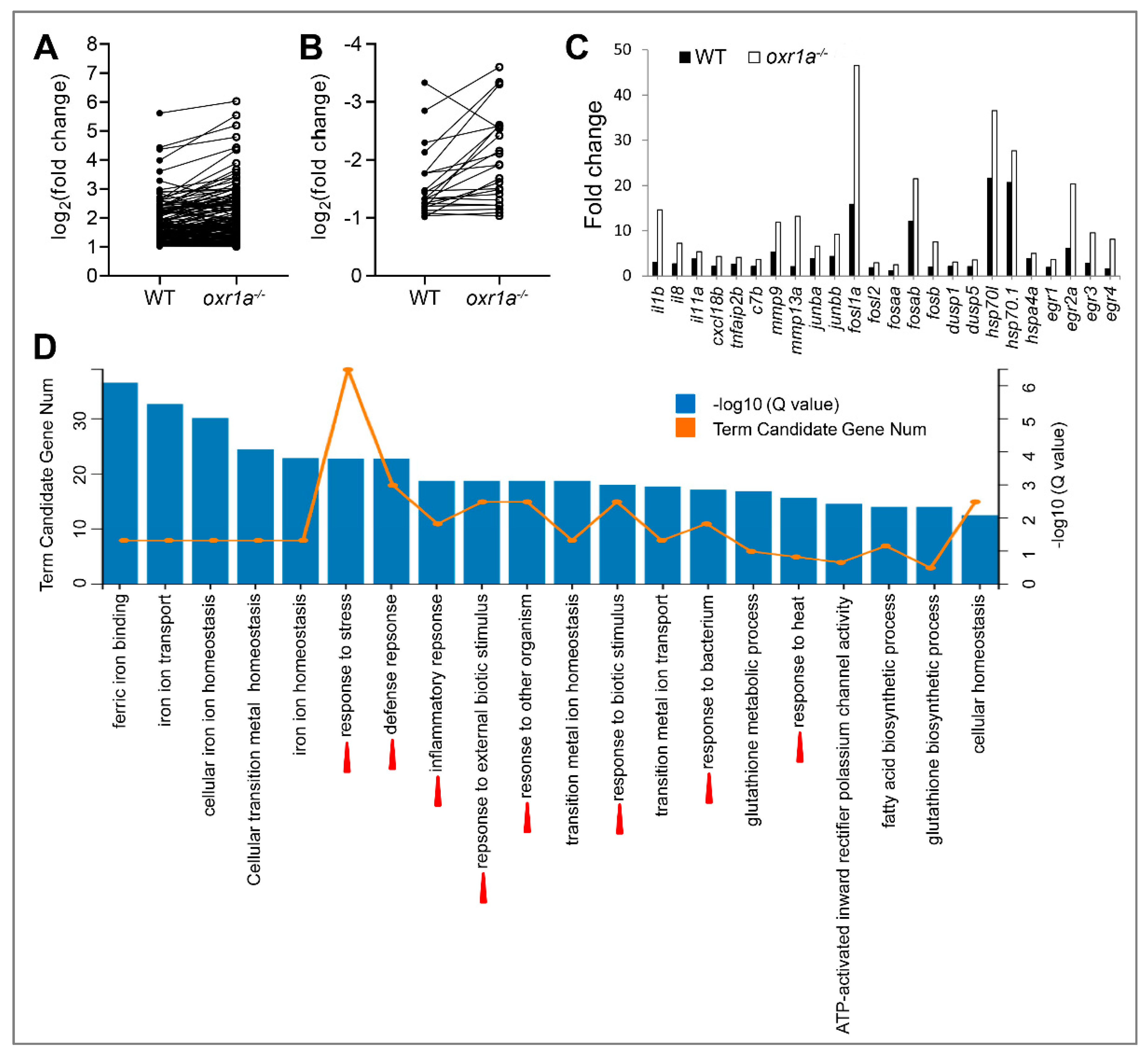 Genes 11 01118 g009 Genes 11 01118 g009
