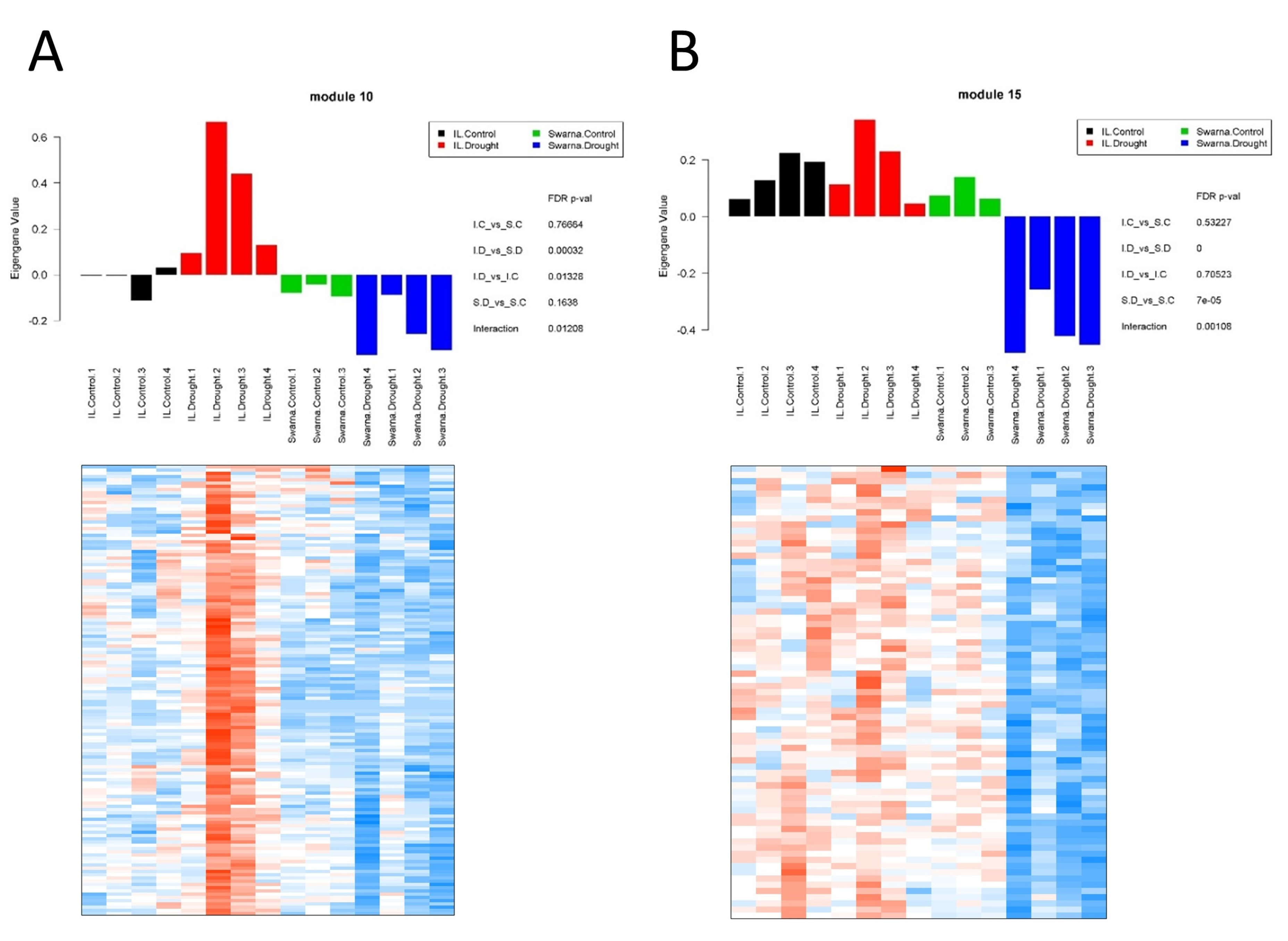 Genes 11 01124 g007 Genes 11 01124 g007
