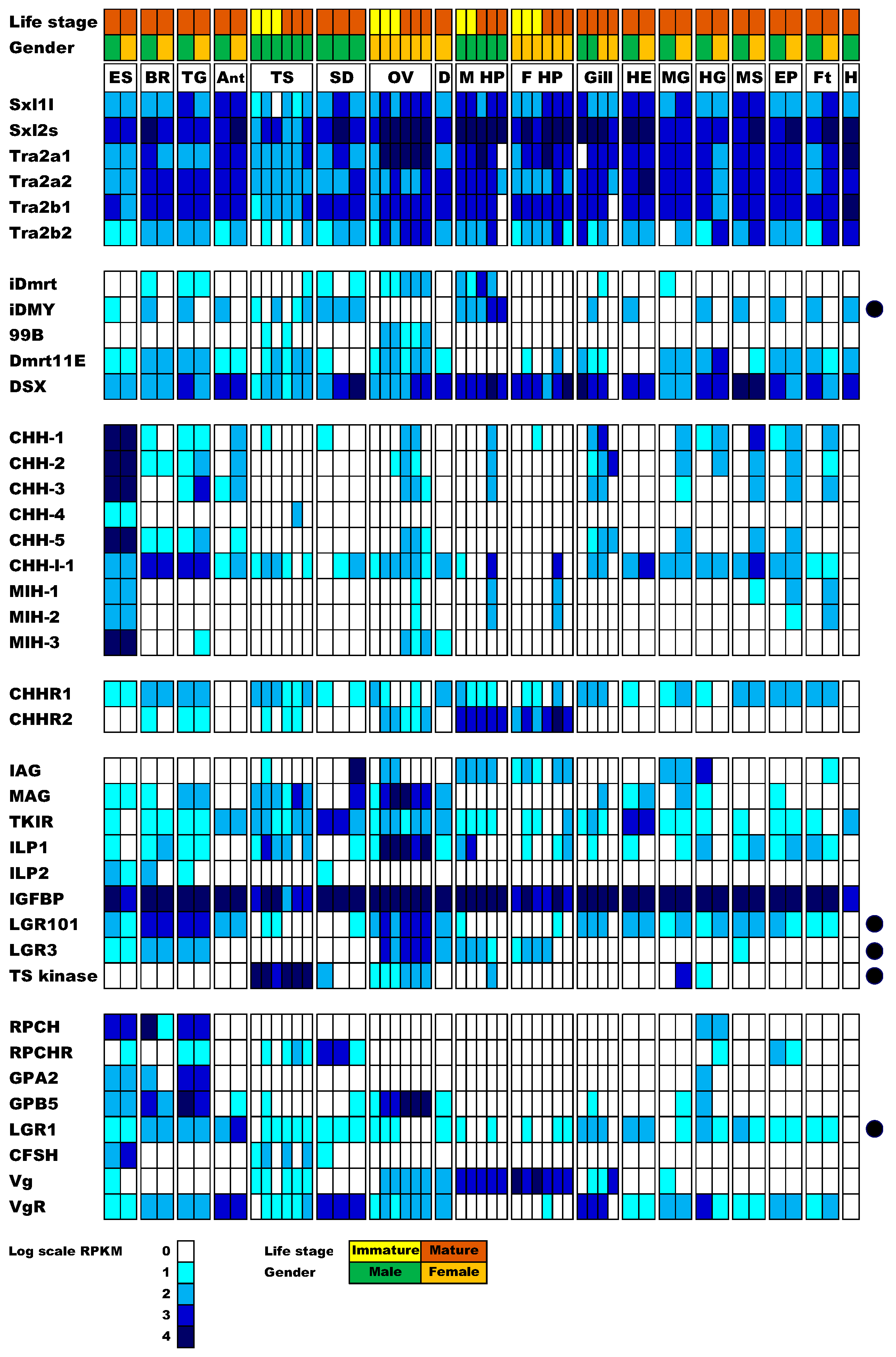 Genes 11 01150 g001