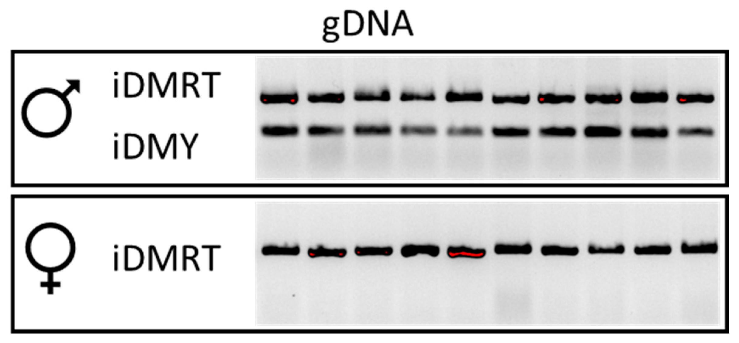 Genes 11 01150 g002