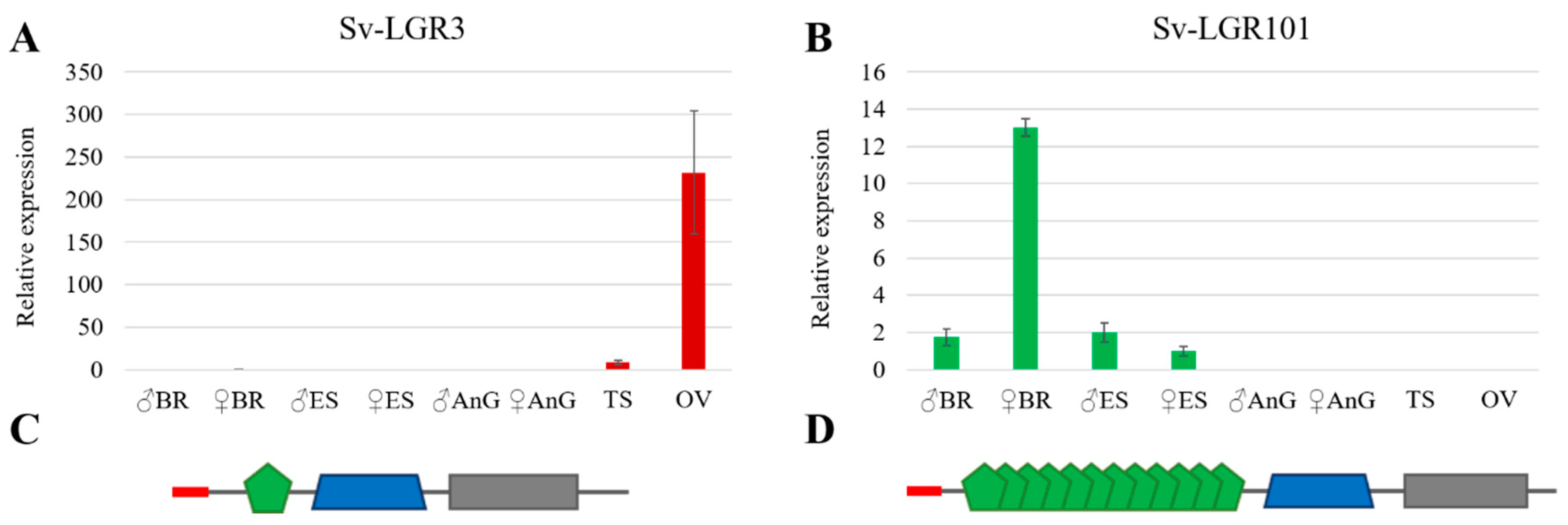 Genes 11 01150 g003