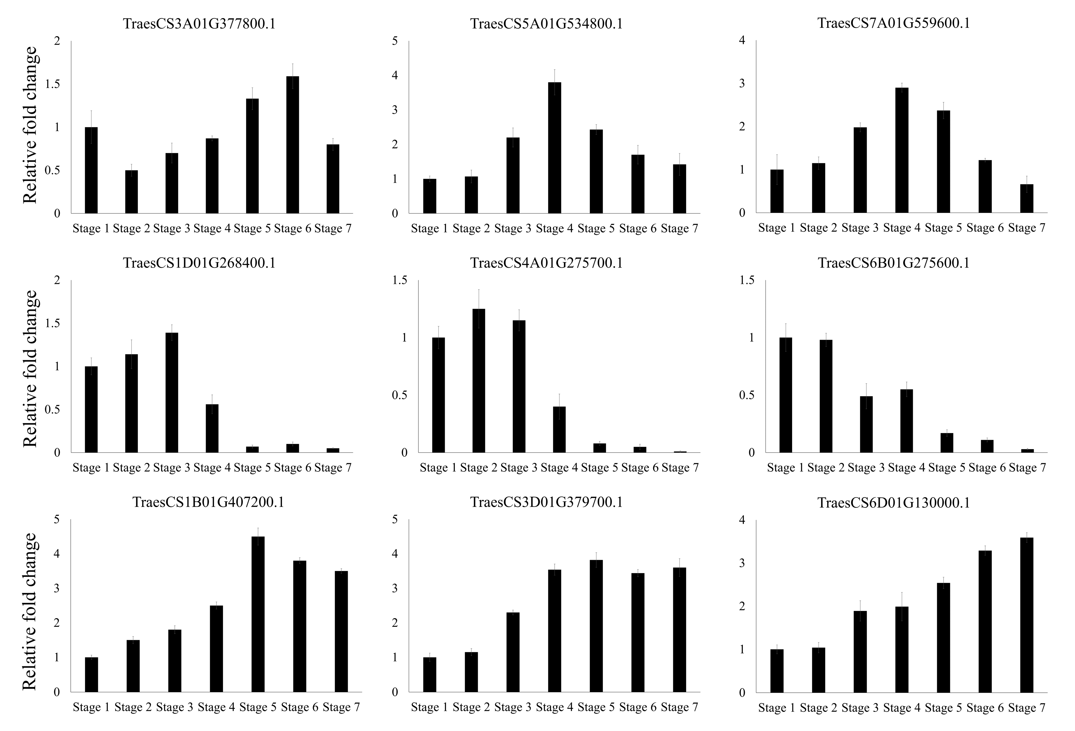 Genes 11 01154 g007 Genes 11 01154 g007