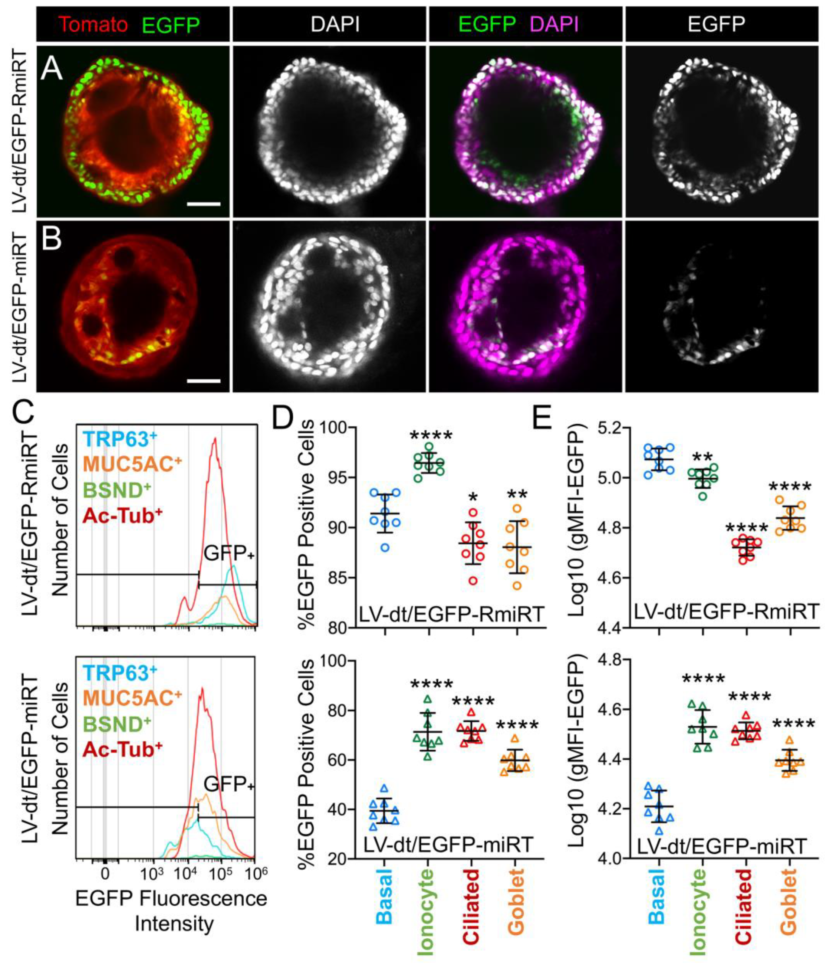 Genes 11 01169 g005 Genes 11 01169 g005