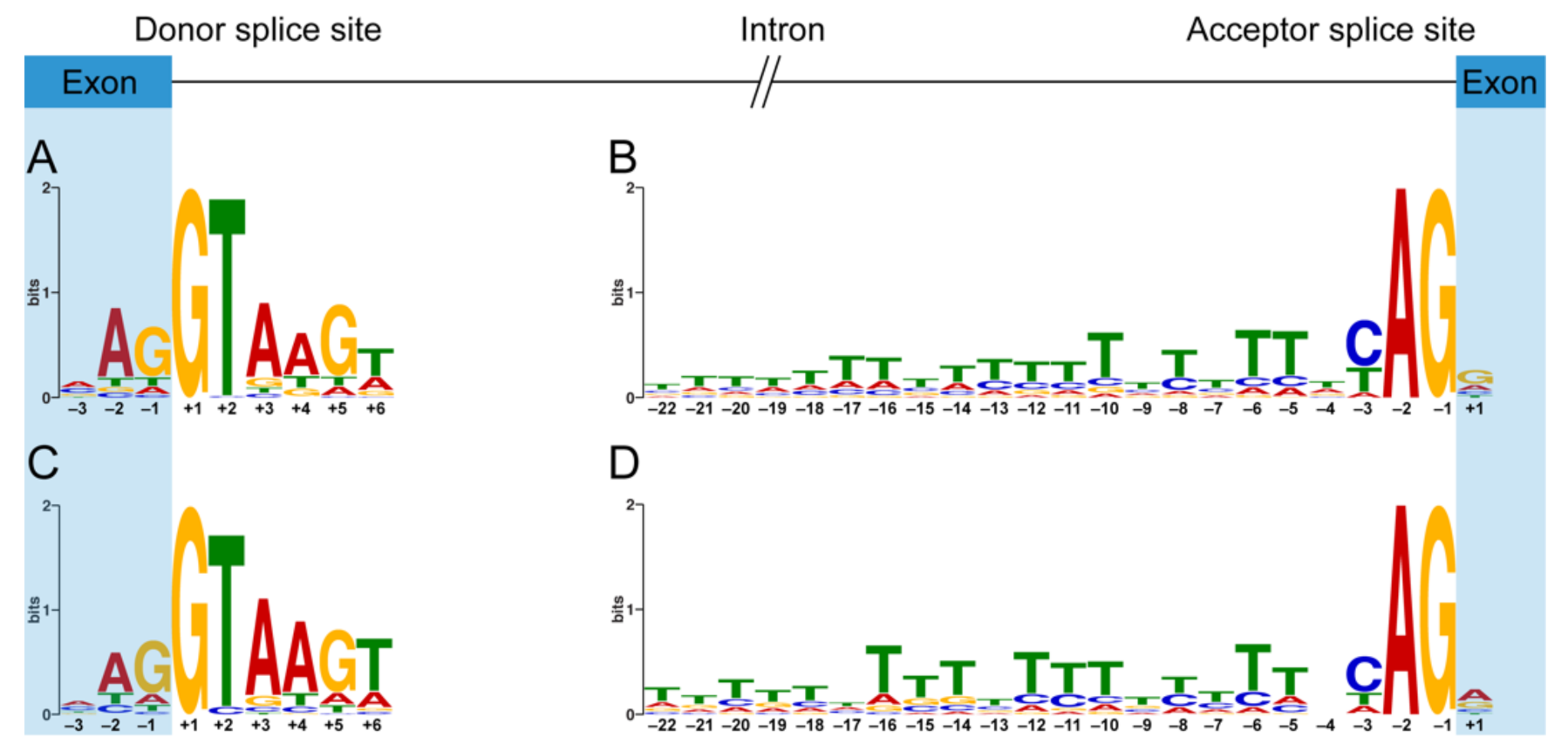 Genes 11 01180 g004