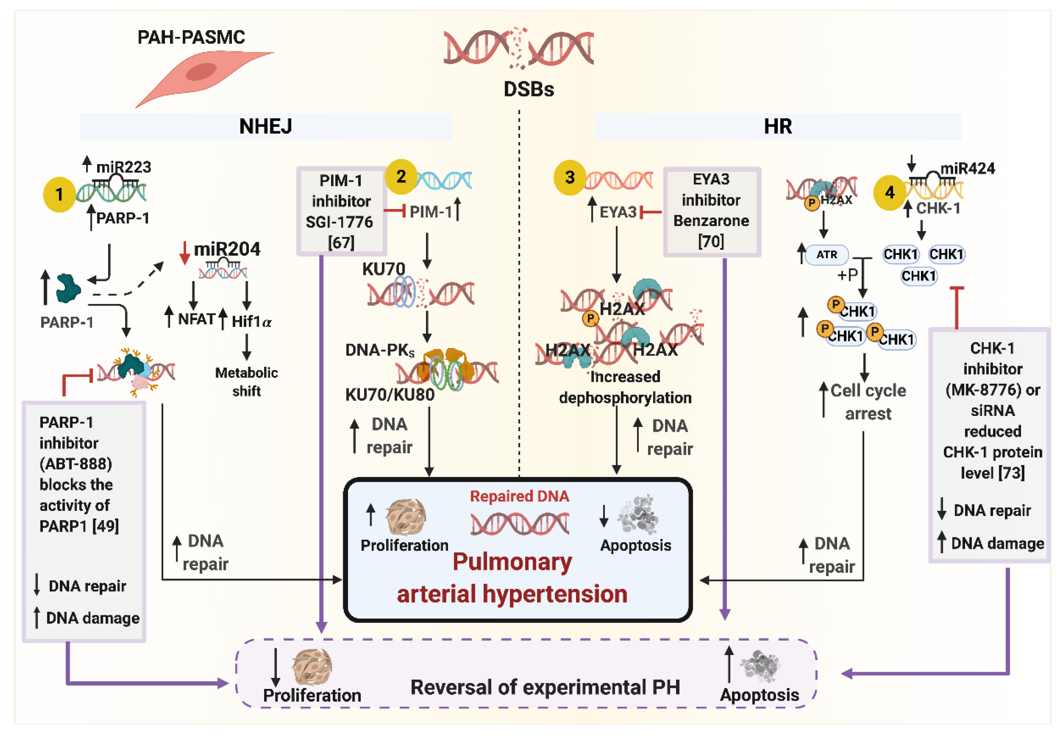 Genes 11 01224 g003 Genes 11 01224 g003