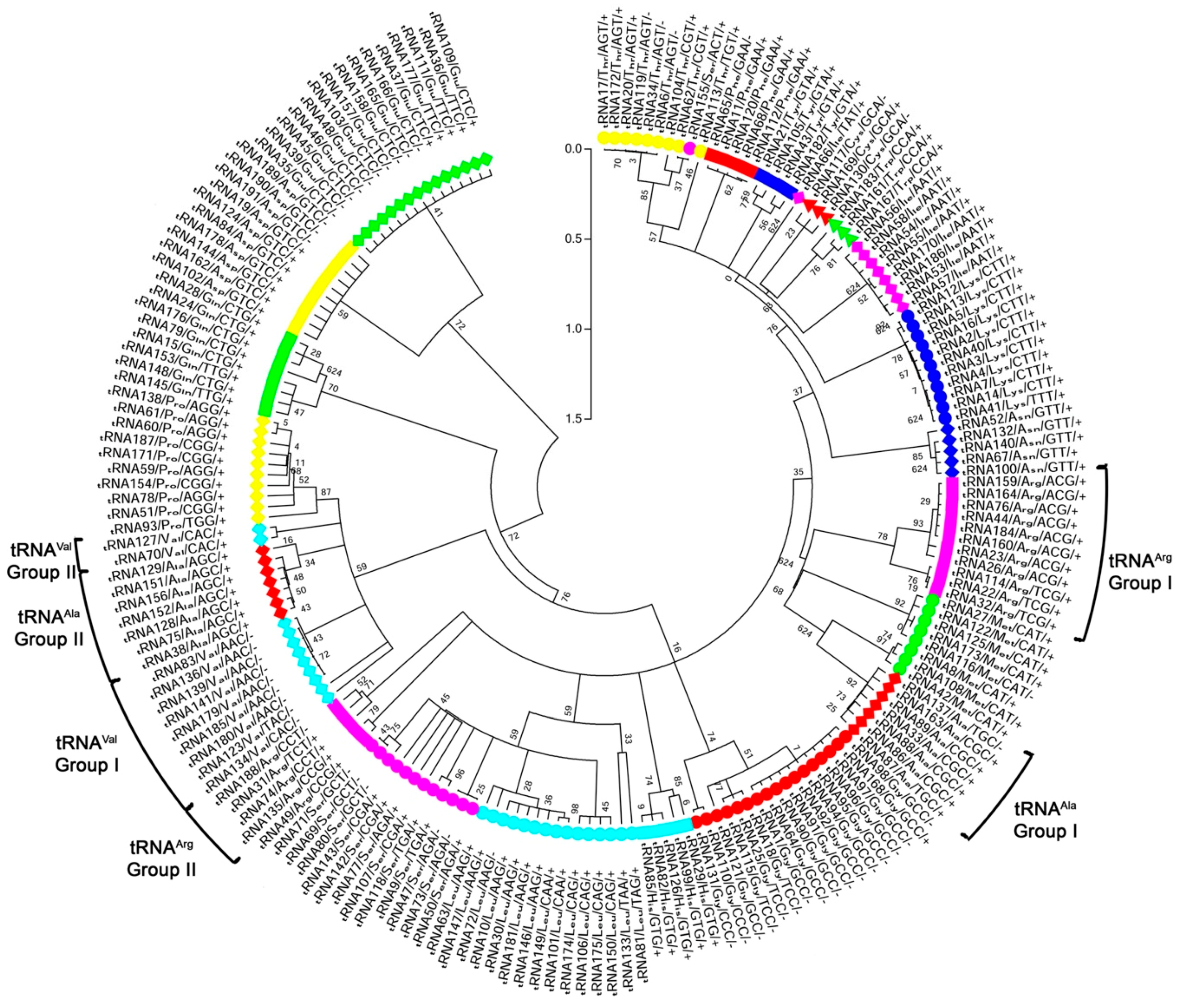 Genes 11 01227 g001 Genes 11 01227 g001