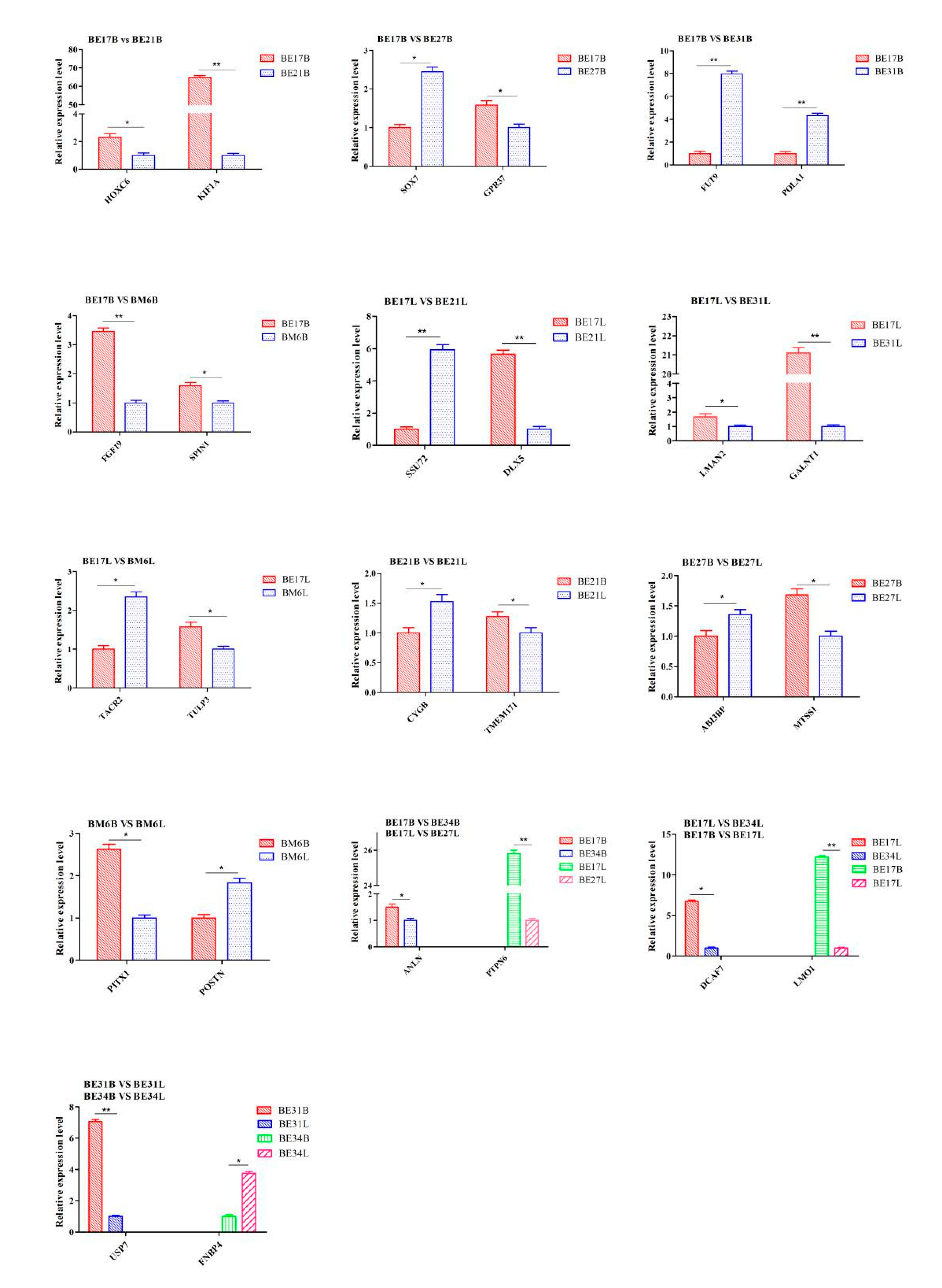 Genes 11 01228 g021 Genes 11 01228 g021