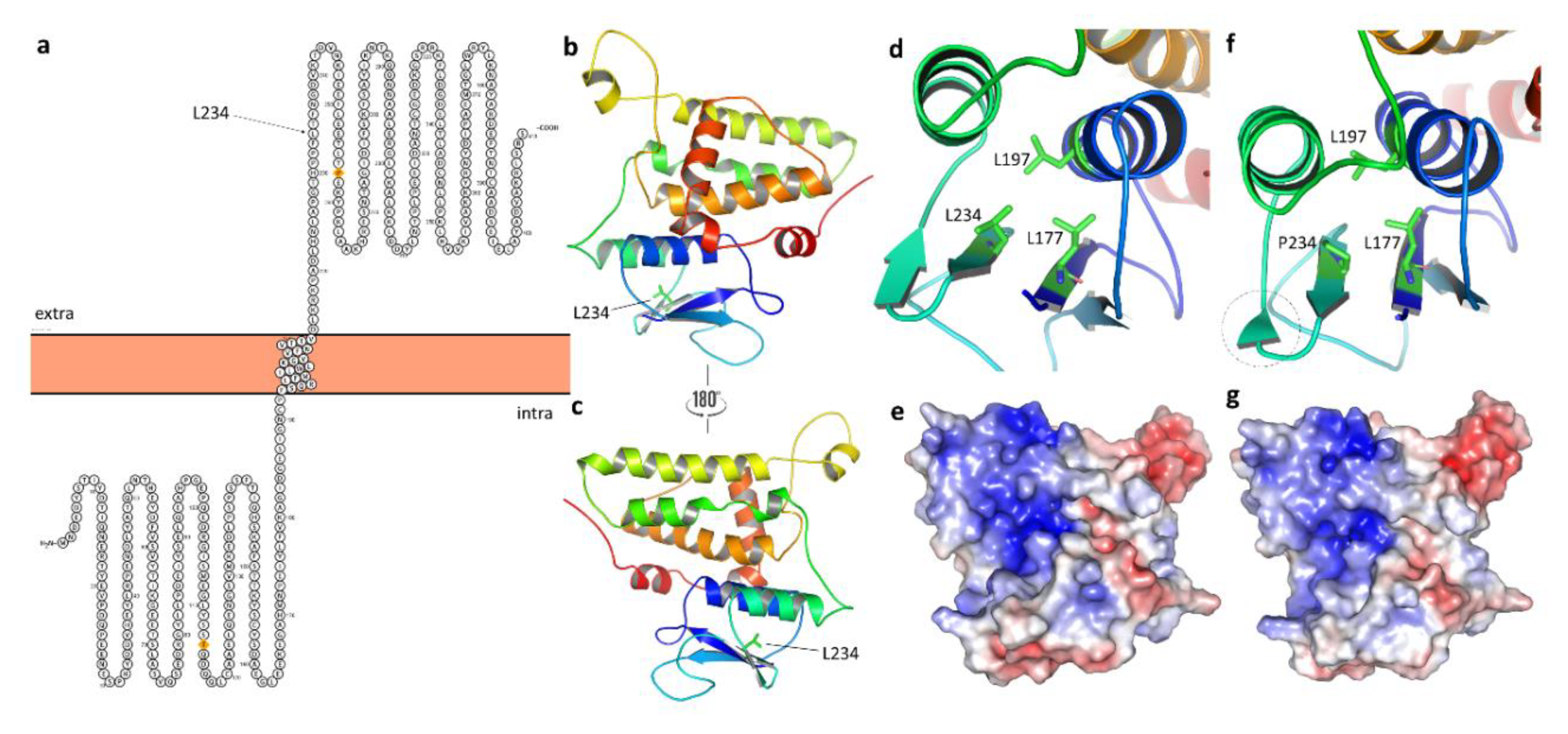 Genes 11 01249 g003 Genes 11 01249 g003