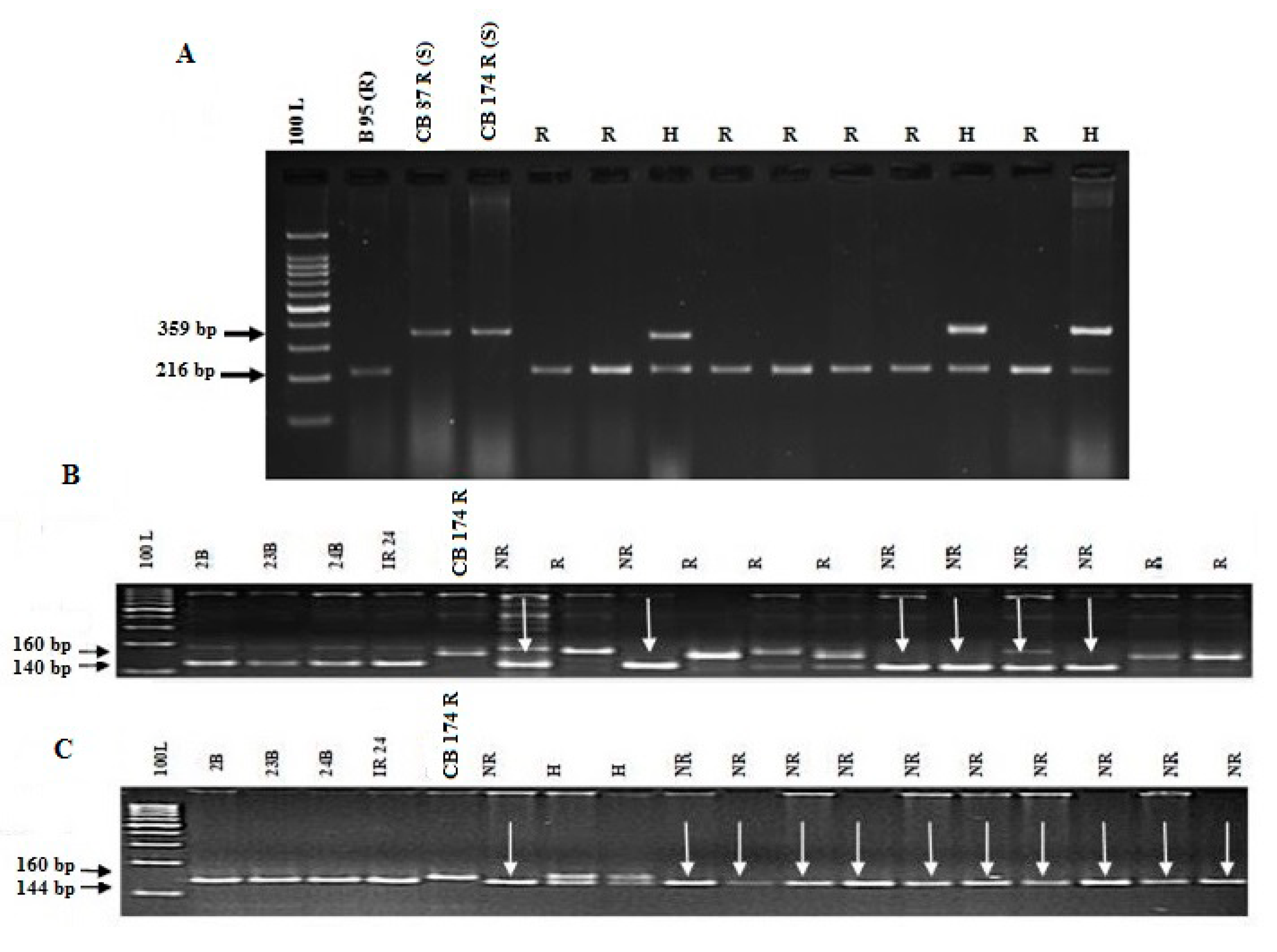 Genes 11 01266 g002 Genes 11 01266 g002