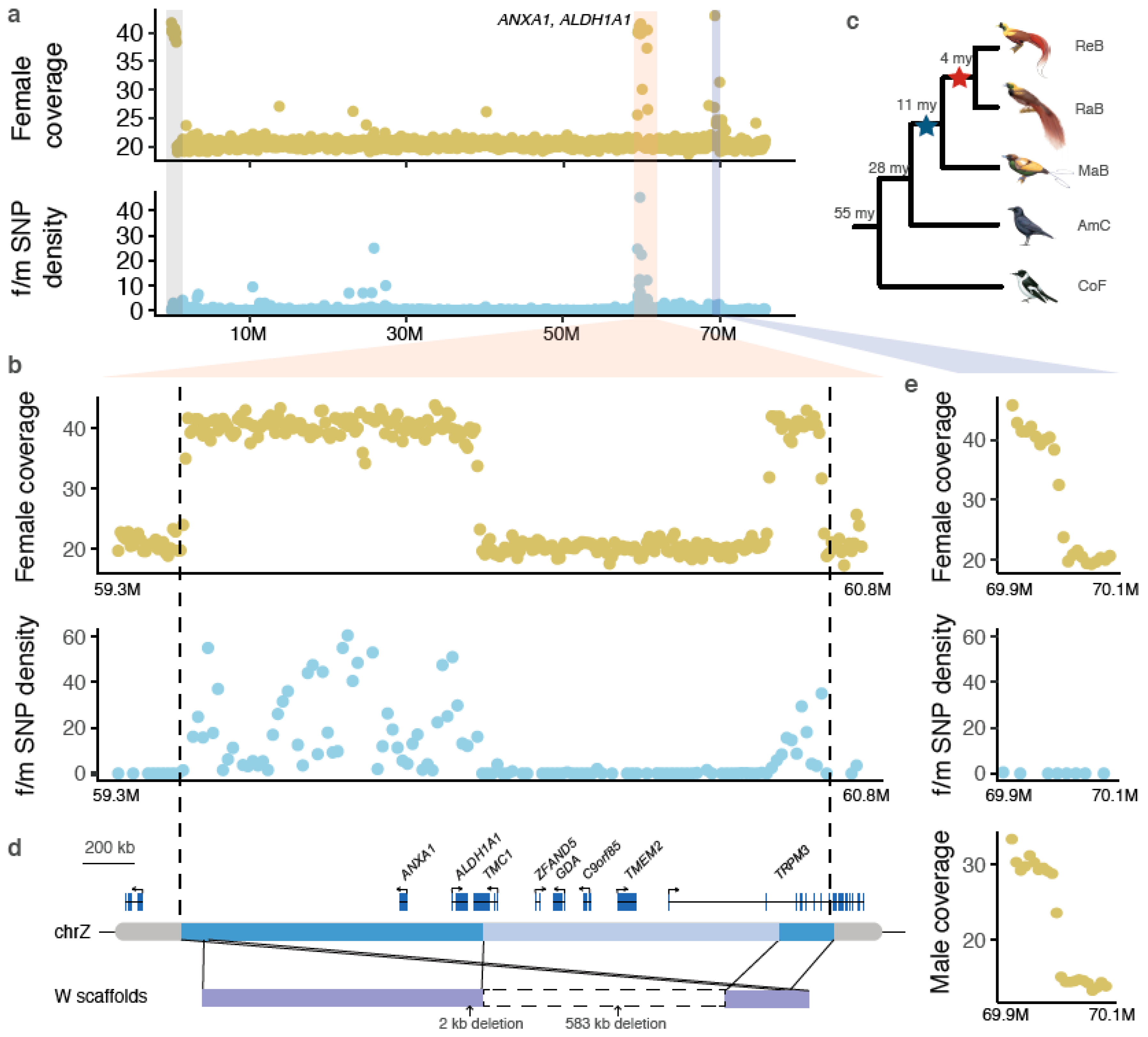 Genes 11 01267 g001 Genes 11 01267 g001