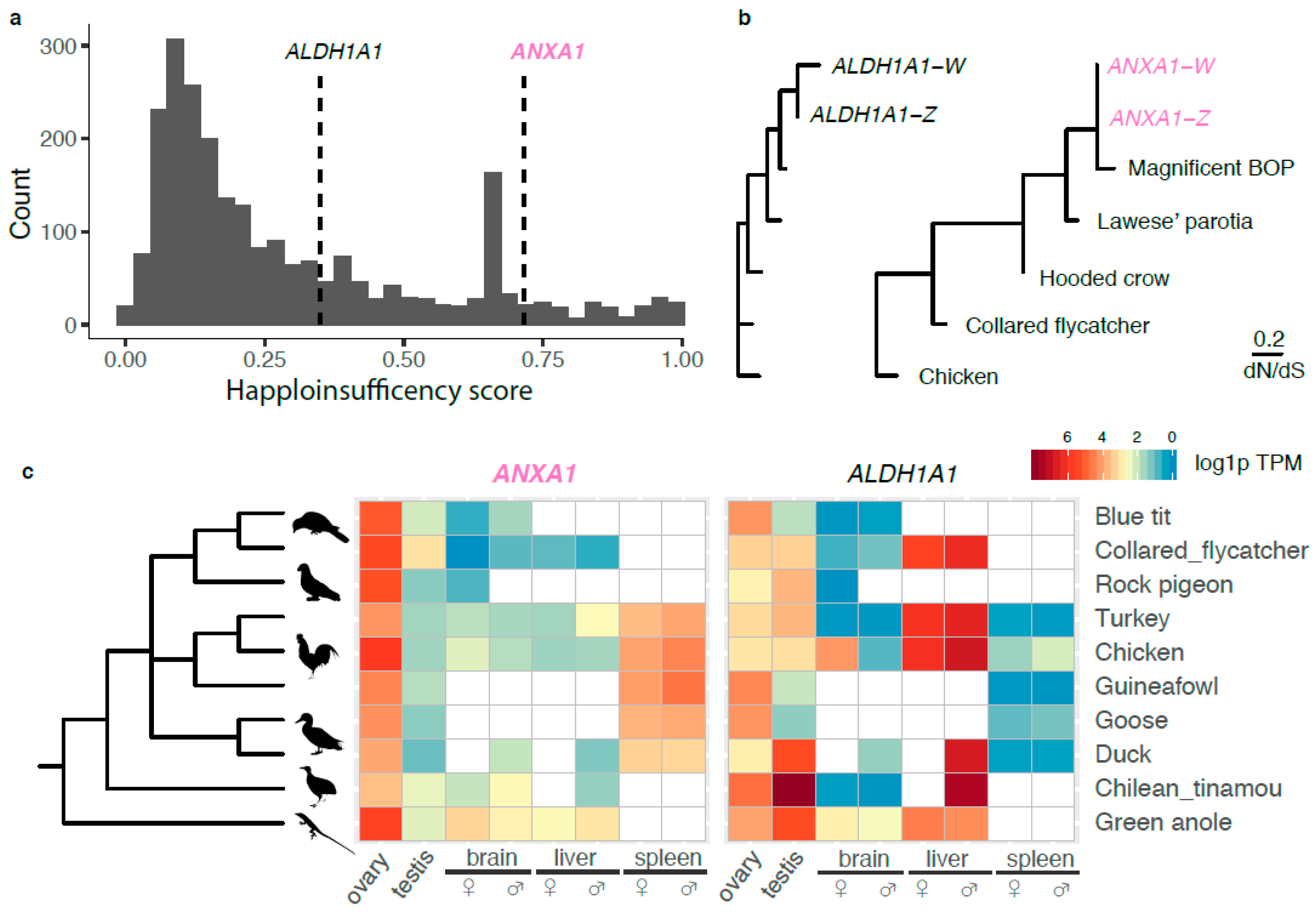 Genes 11 01267 g002 Genes 11 01267 g002