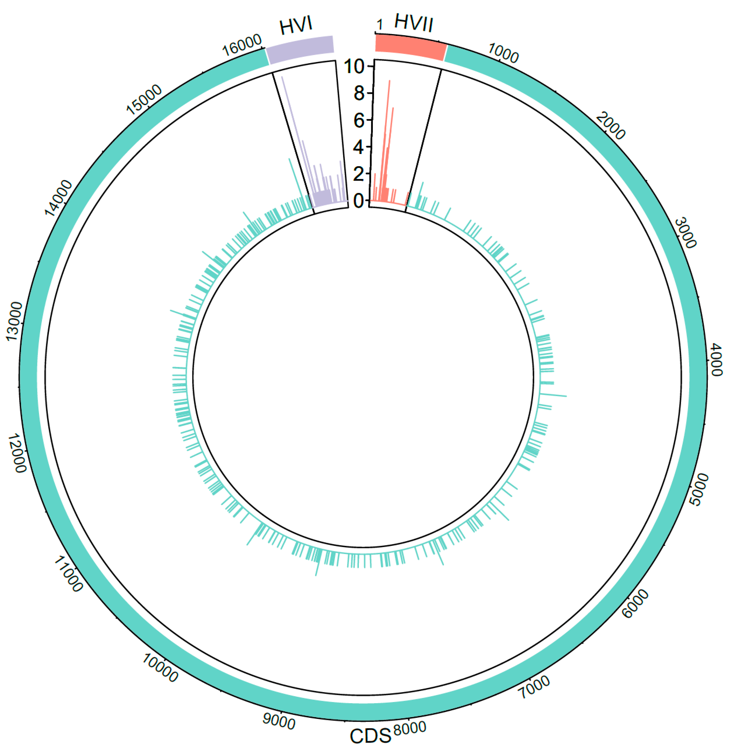 Genes 11 01290 g002 Genes 11 01290 g002