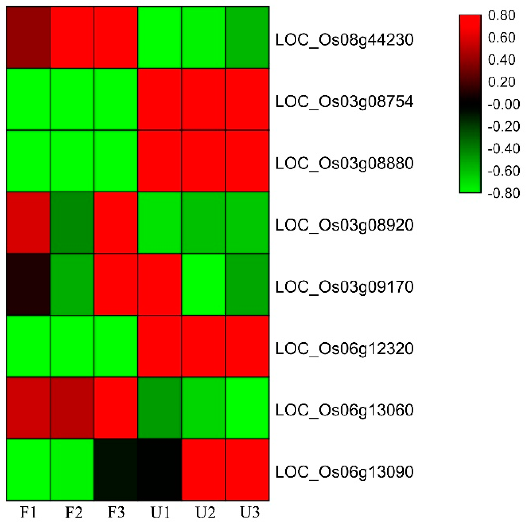 Genes 11 01395 g006 Genes 11 01395 g006