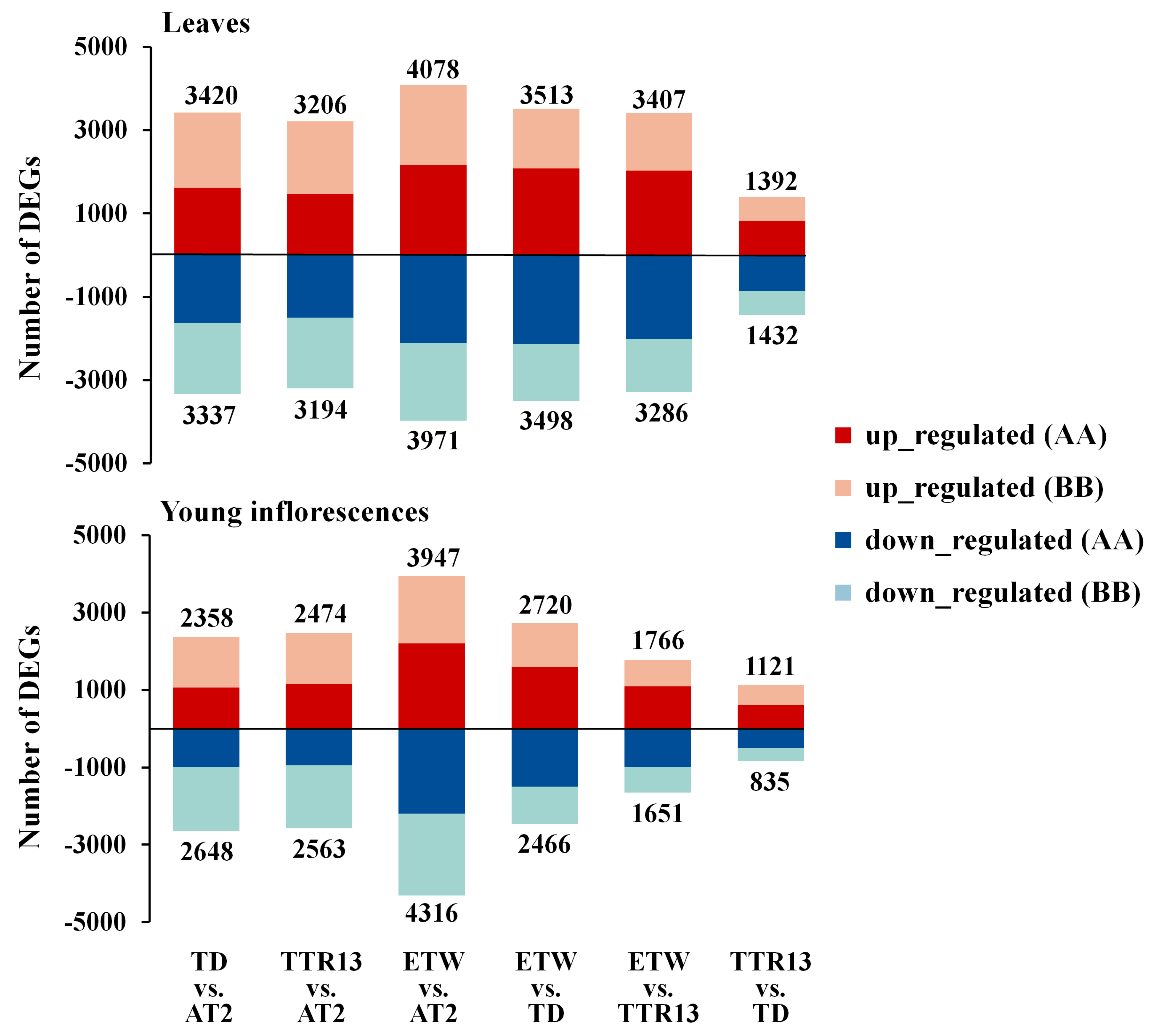 Genes 11 01401 g002