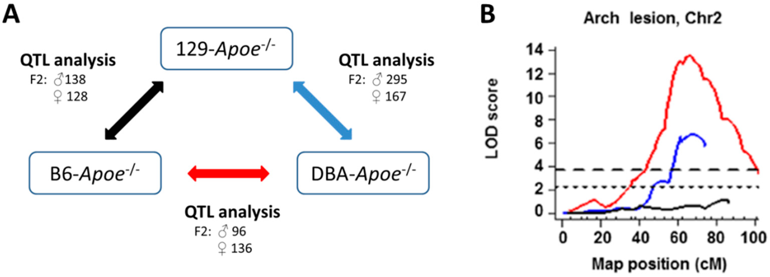 Genes 11 01427 g002