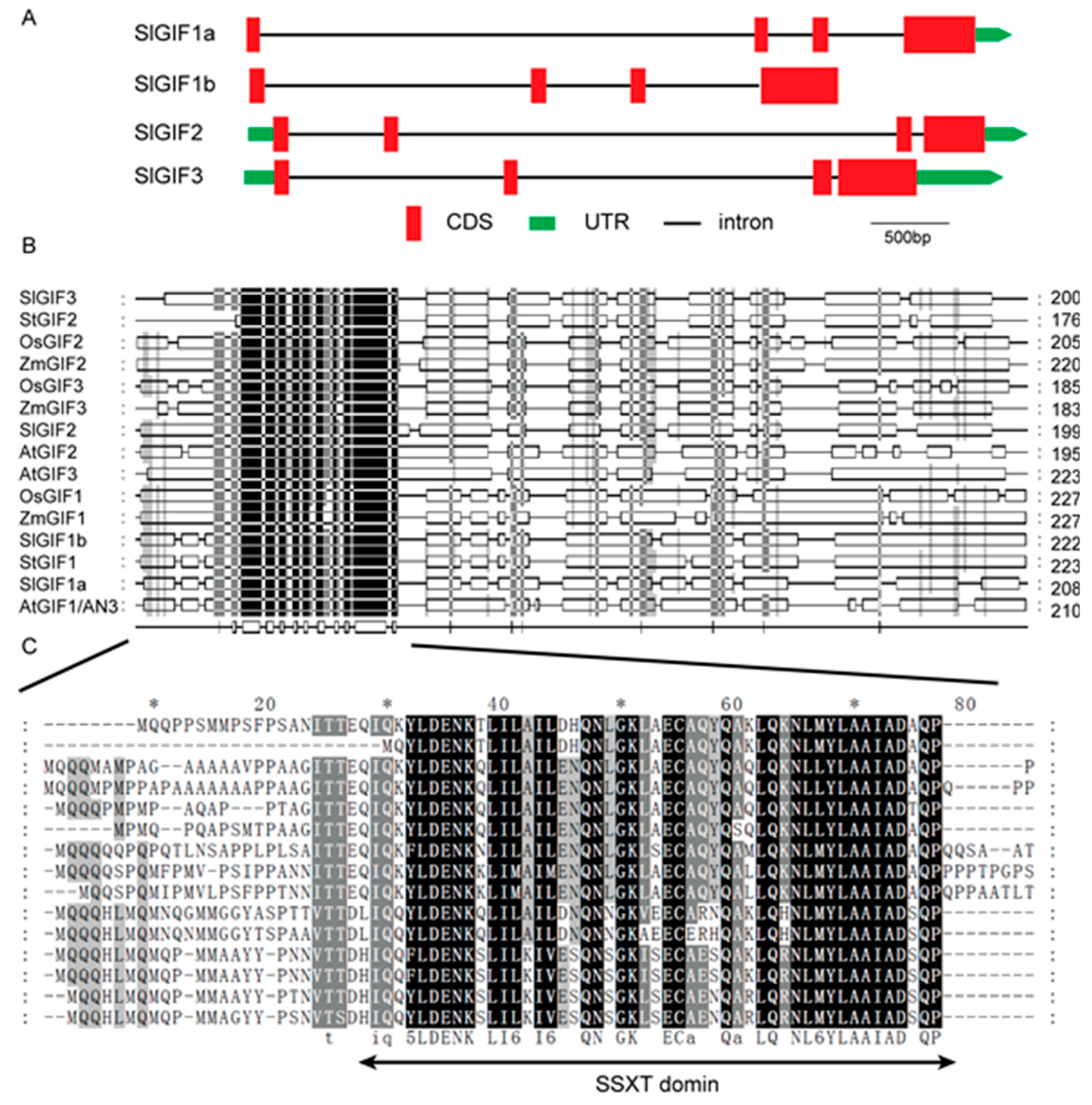 Genes 11 01435 g002