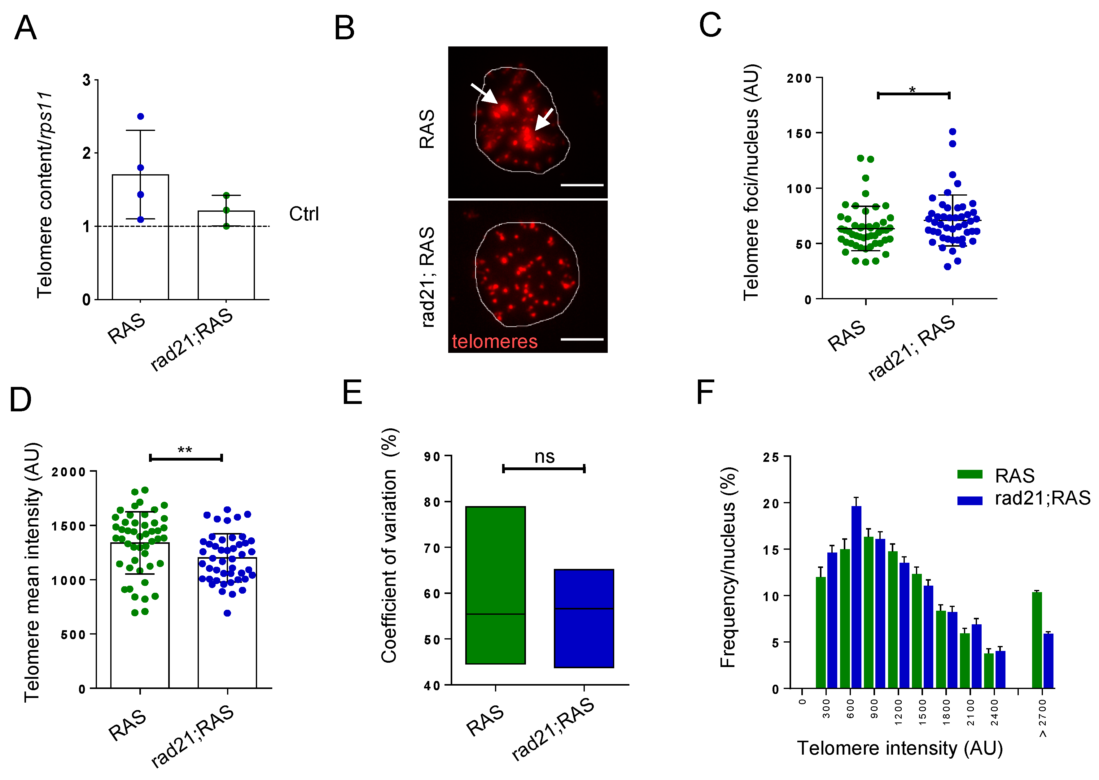 Genes 11 01442 g002a Genes 11 01442 g002a
