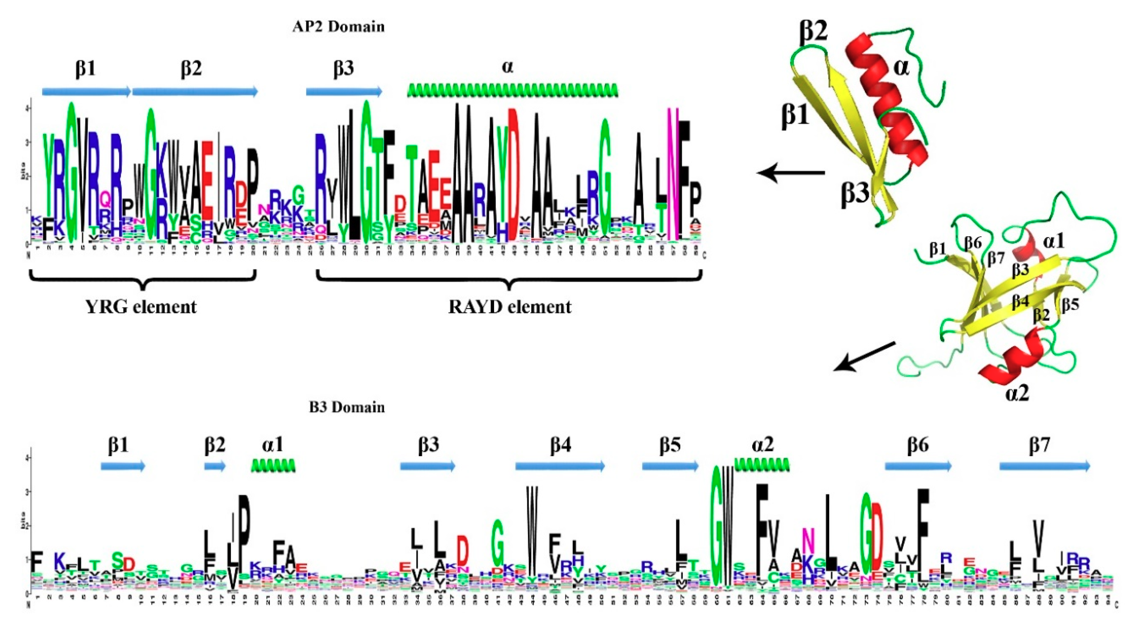 Genes | Free Full-Text | The AP2/ERF Gene Family In Triticum Durum ...