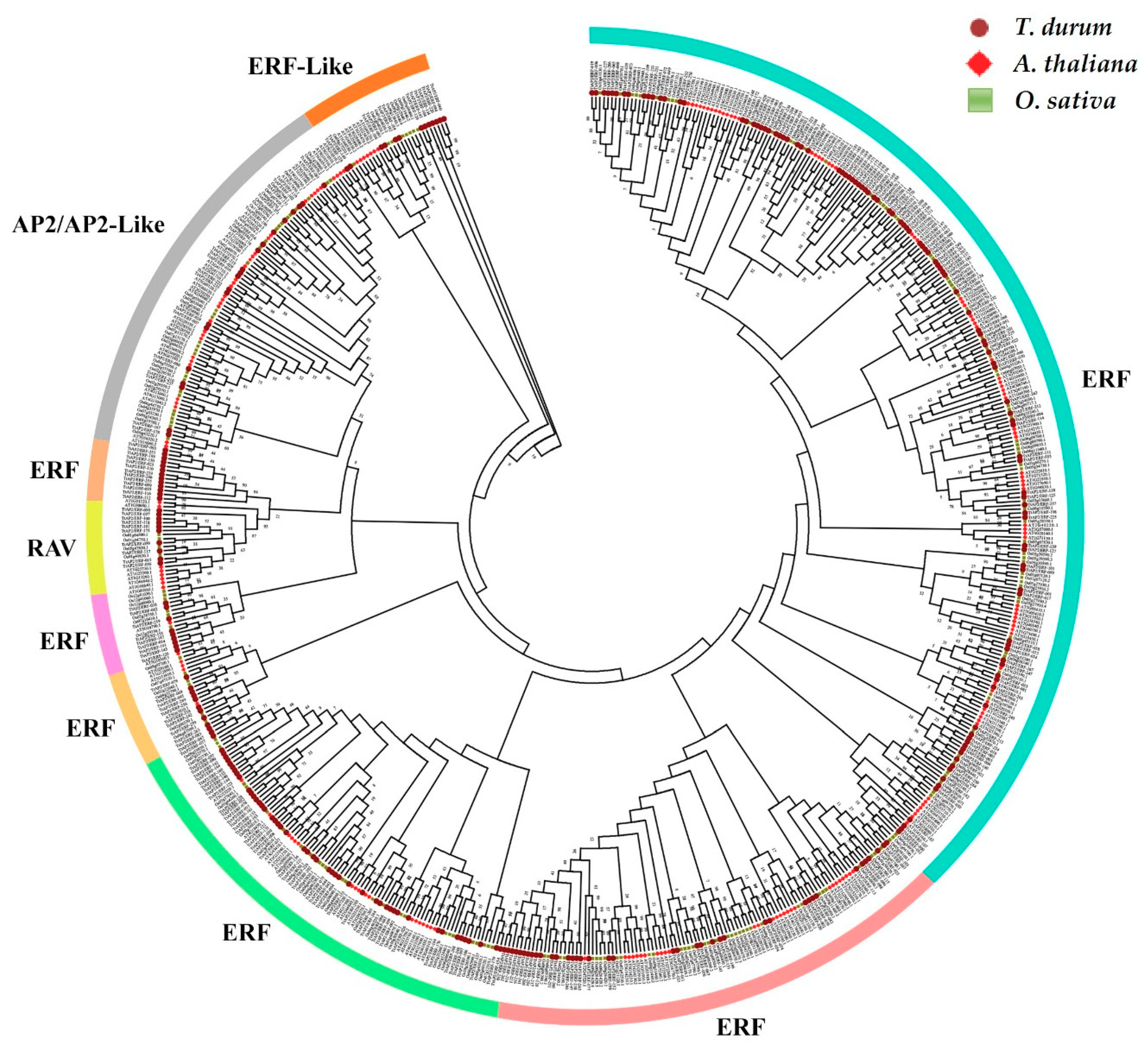 Genes 11 01464 g004 Genes 11 01464 g004