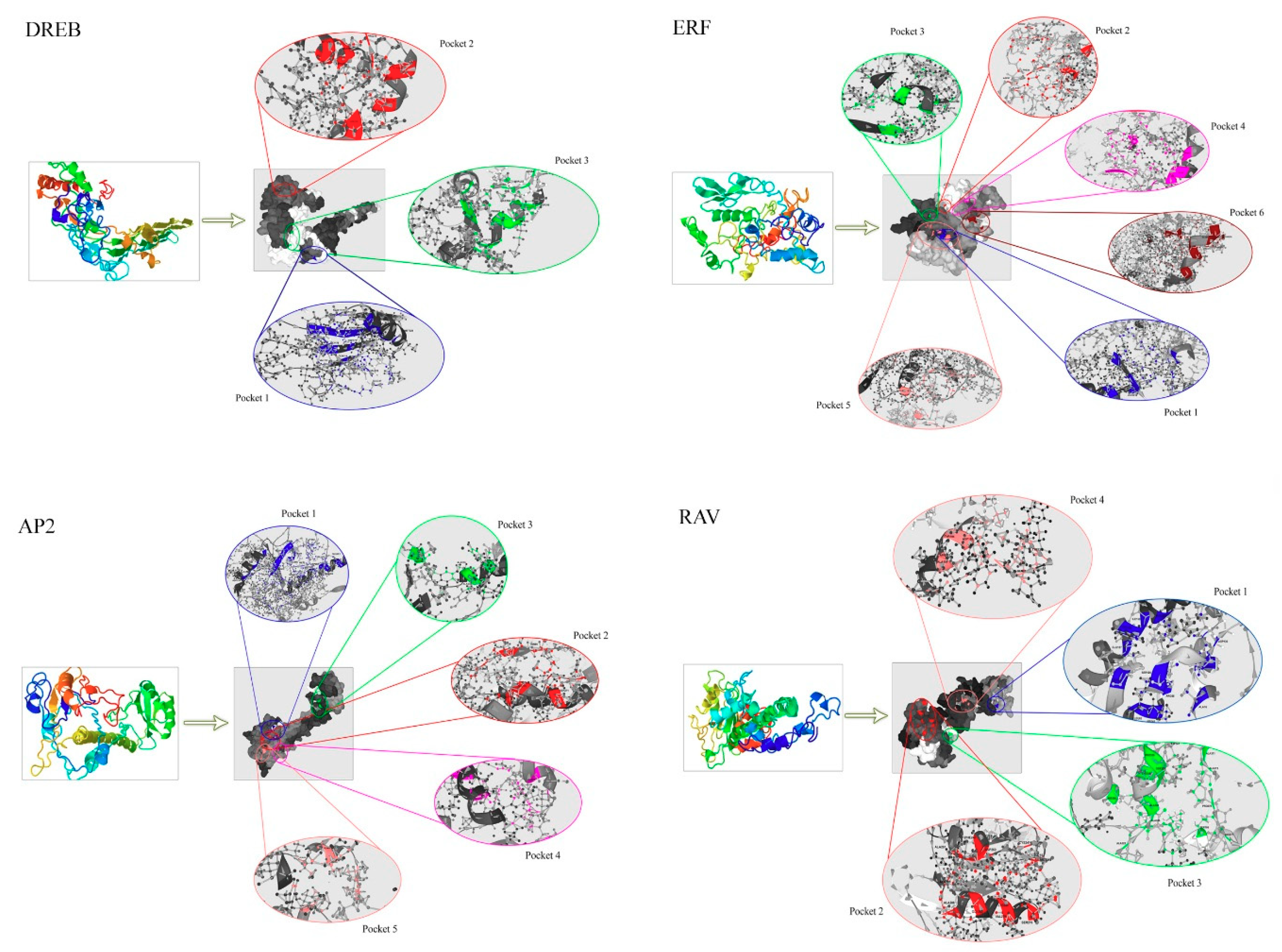 Genes 11 01464 g006 Genes 11 01464 g006