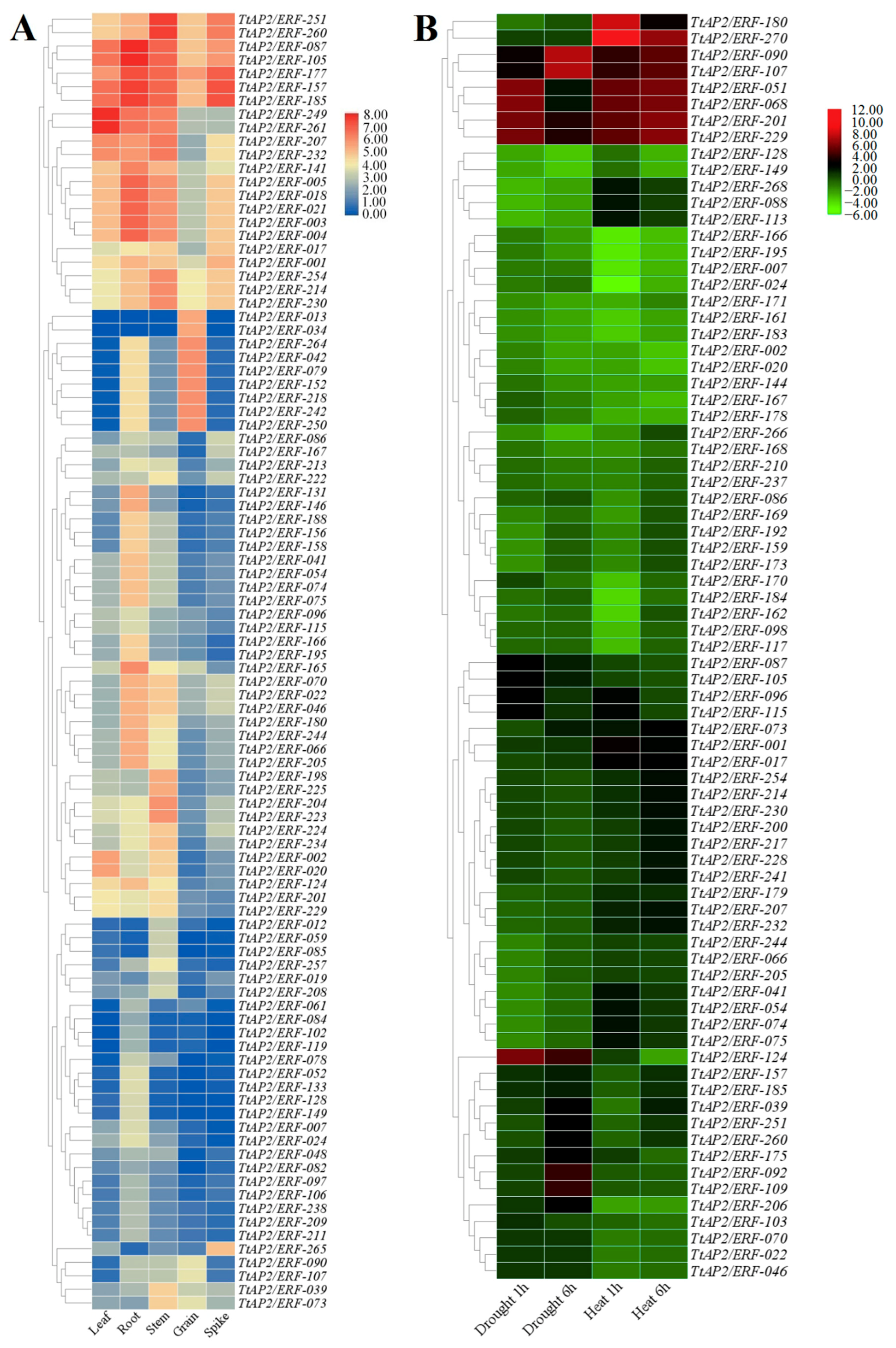 Genes 11 01464 g007 Genes 11 01464 g007