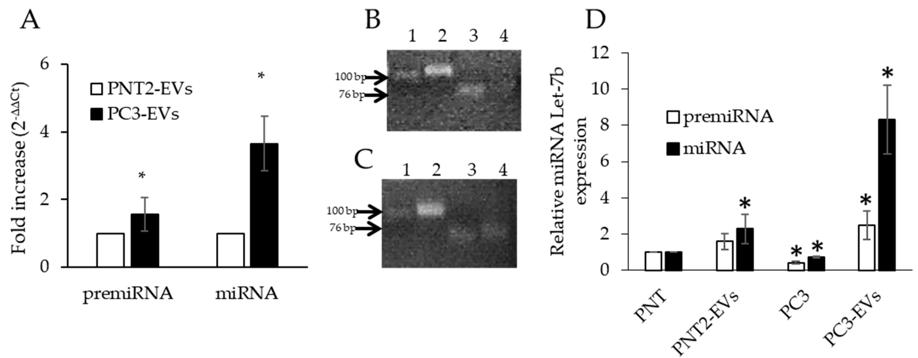 Genes 11 01495 g002 Genes 11 01495 g002
