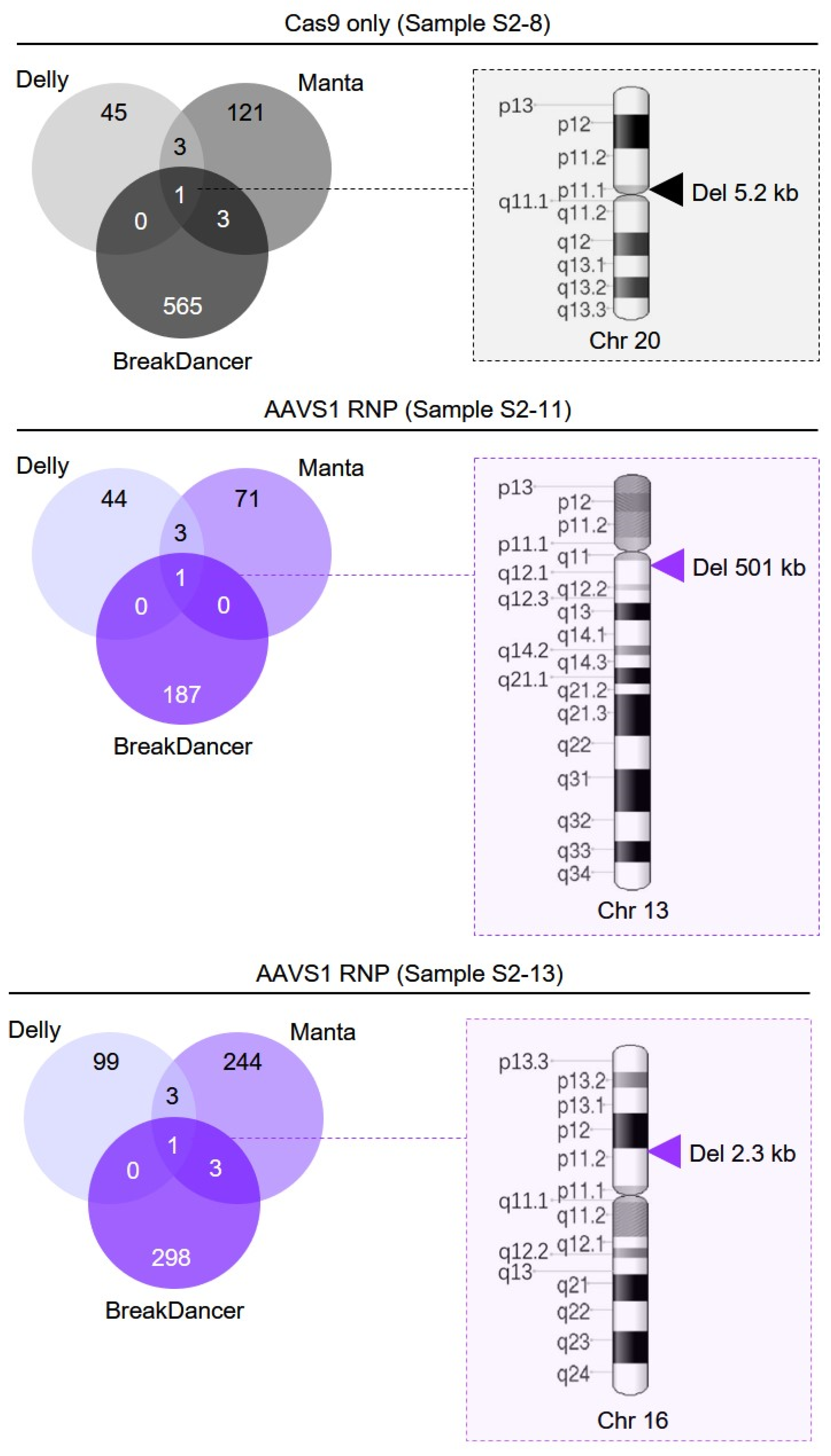 Genes 11 01501 g004