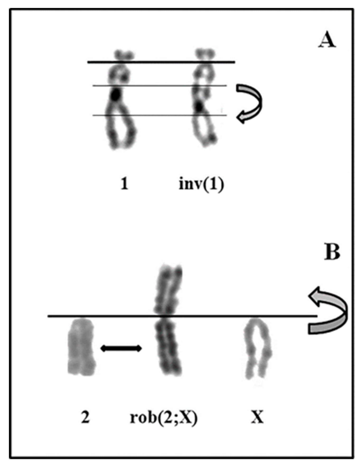 Genes 11 01502 g003 Genes 11 01502 g003
