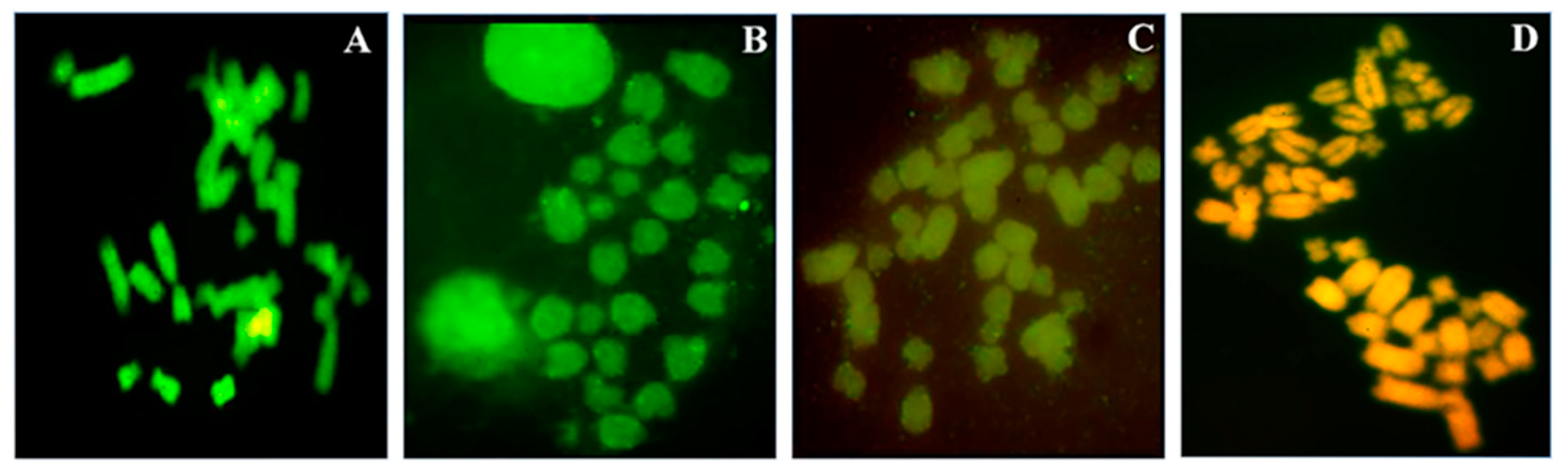 Genes 11 01502 g006 Genes 11 01502 g006