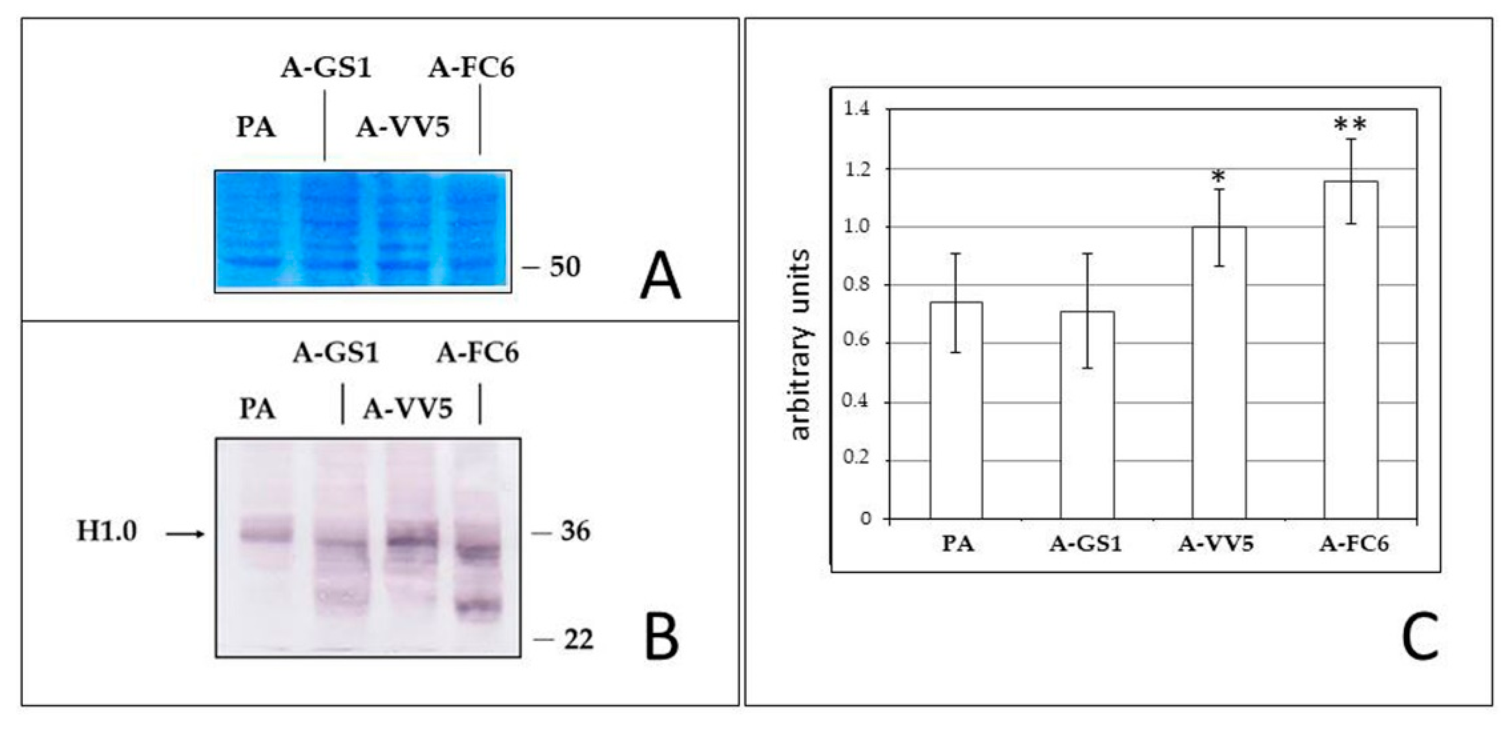 Genes 11 01502 g007 Genes 11 01502 g007