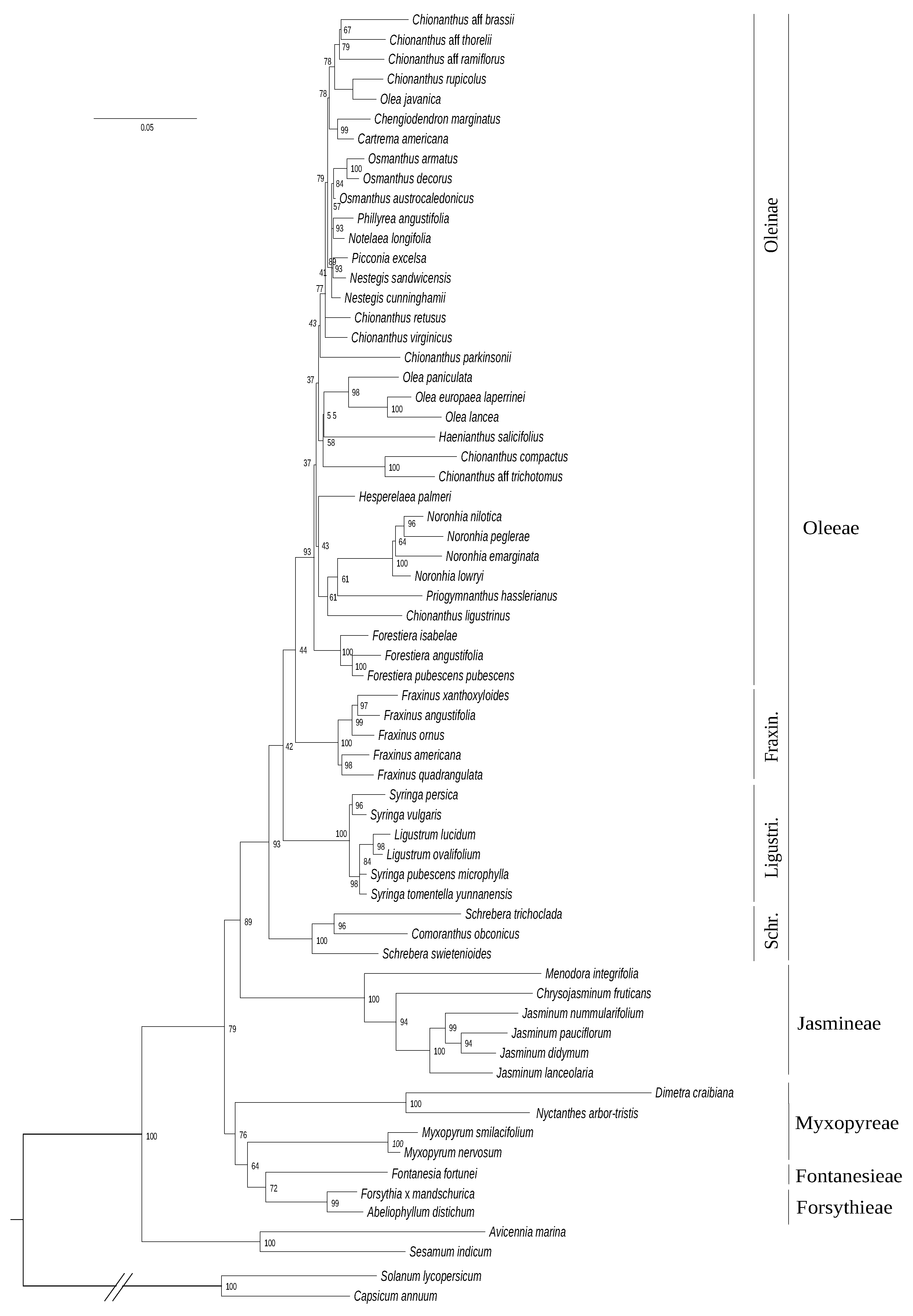 Genes 11 01508 g003 Genes 11 01508 g003