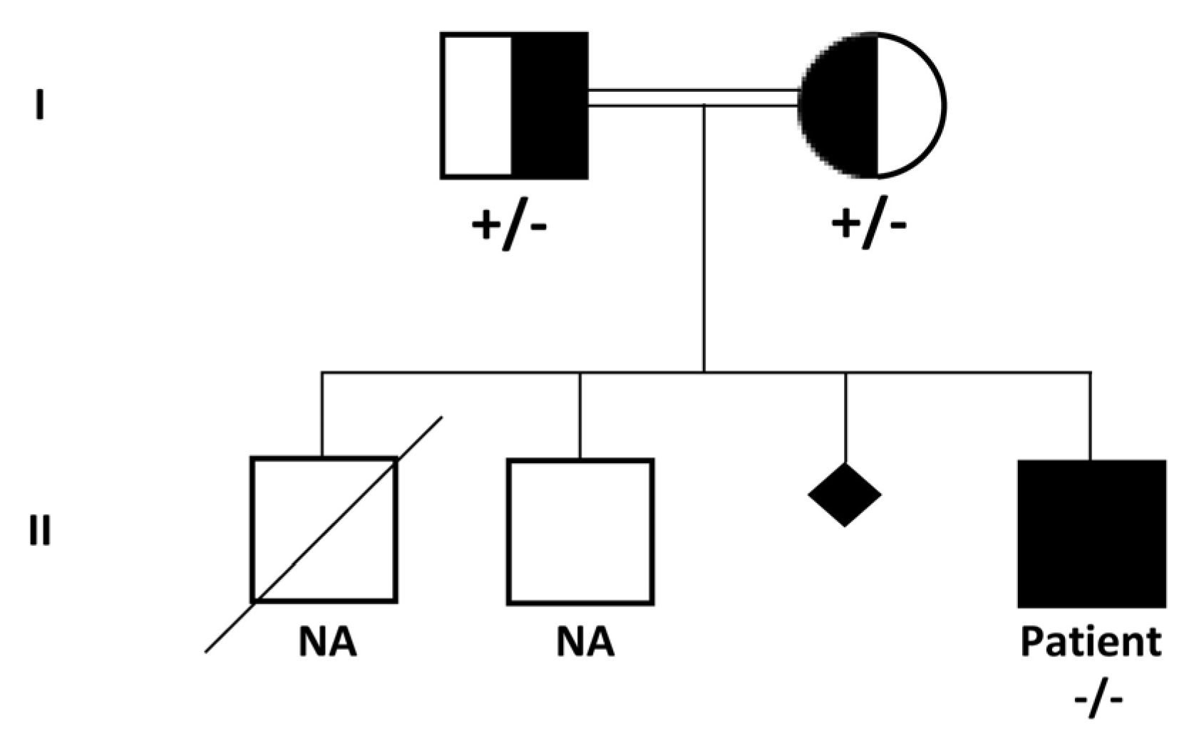 Genes | Free Full-Text | The First Case of Congenital Myasthenic