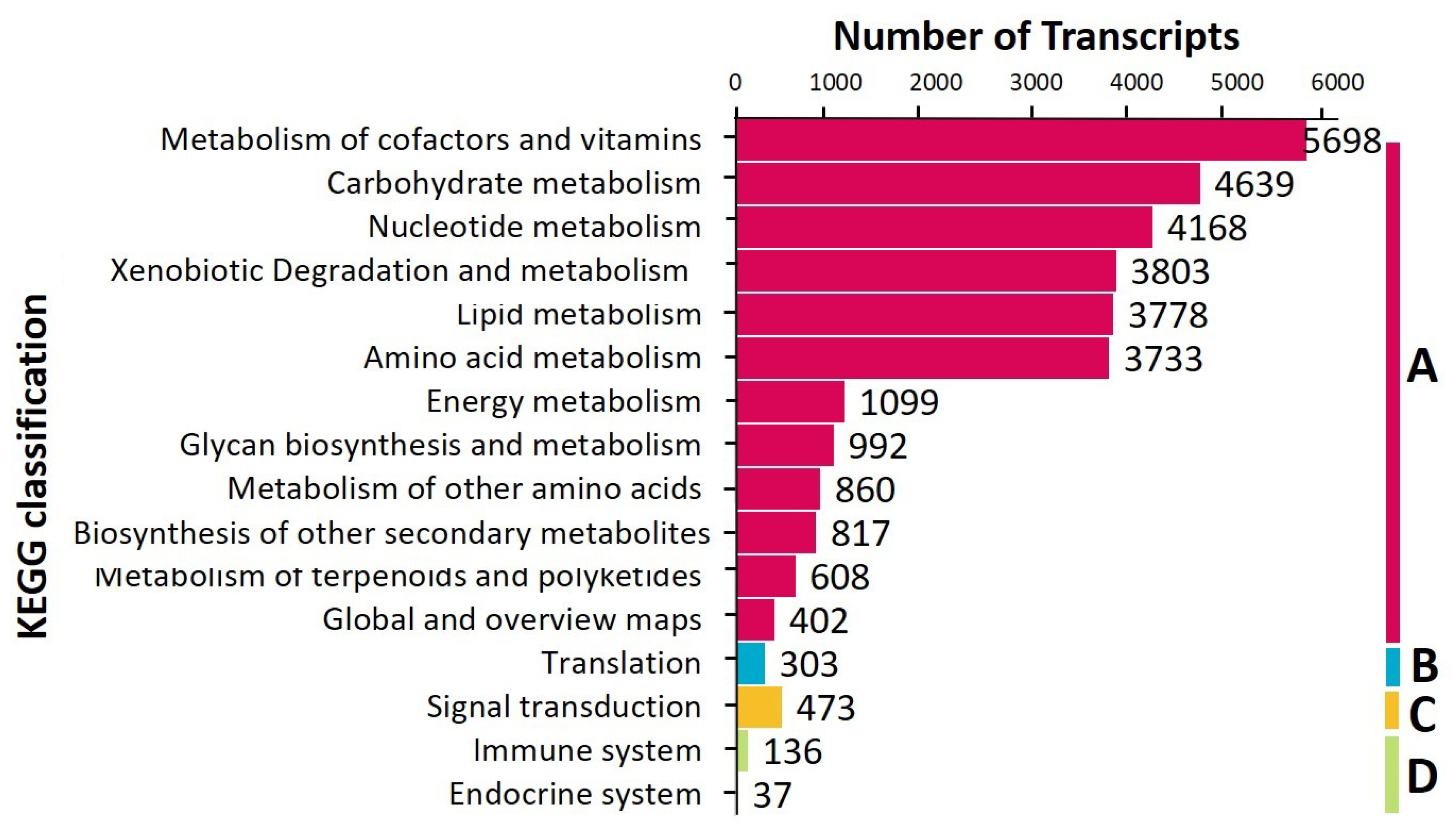 Genes 12 00007 g006
