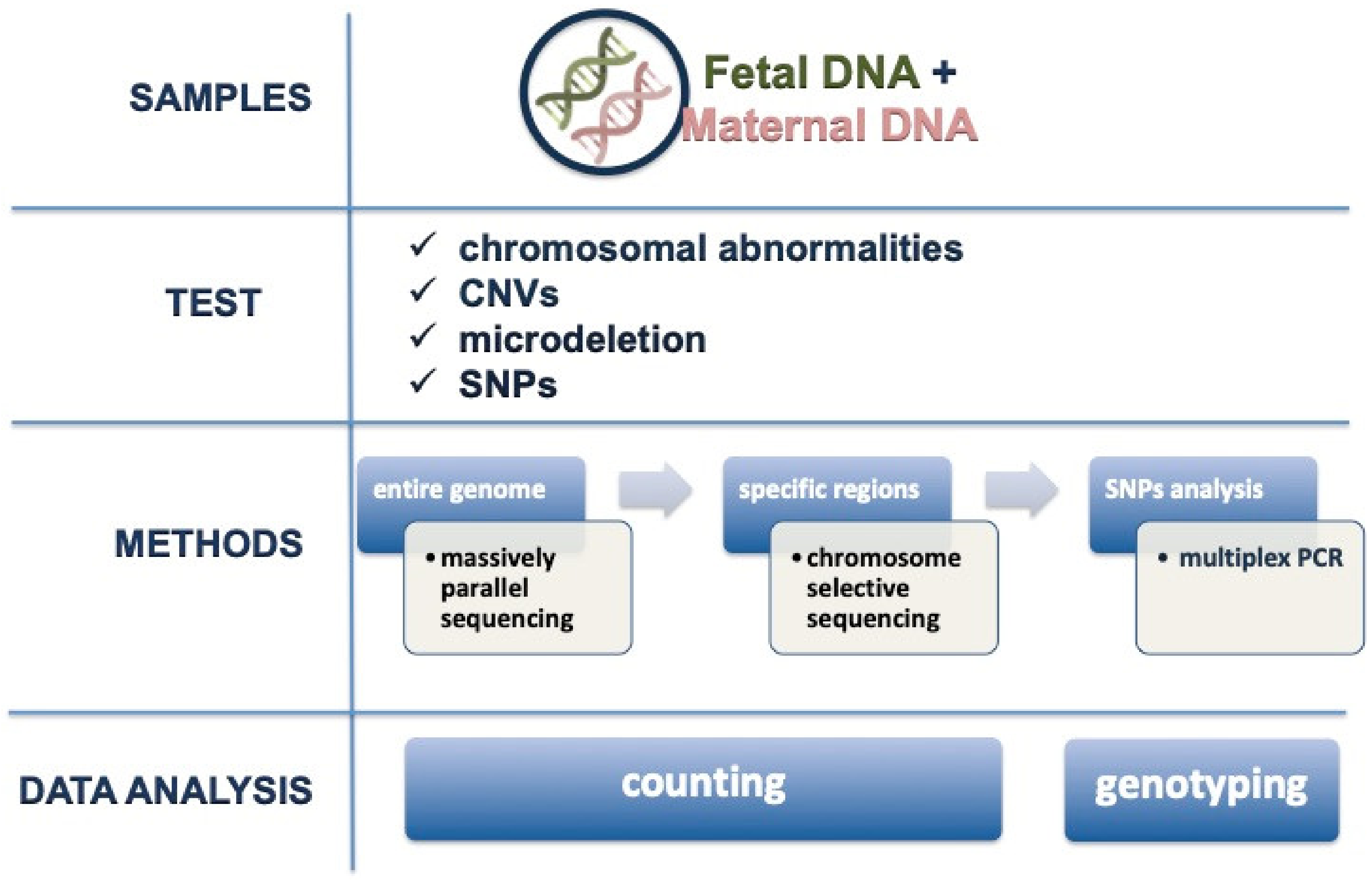Genes | Free Full-Text | Non-Invasive Prenatal Testing: Current  Perspectives and Future Challenges | HTML