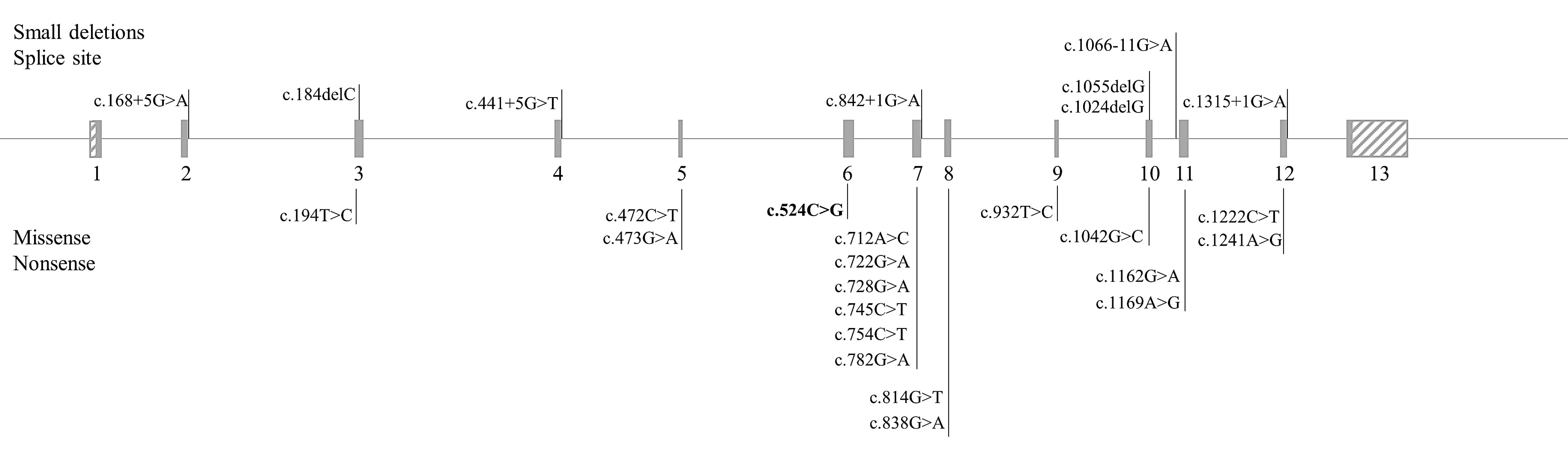 Genes 12 00020 g001 Genes 12 00020 g001