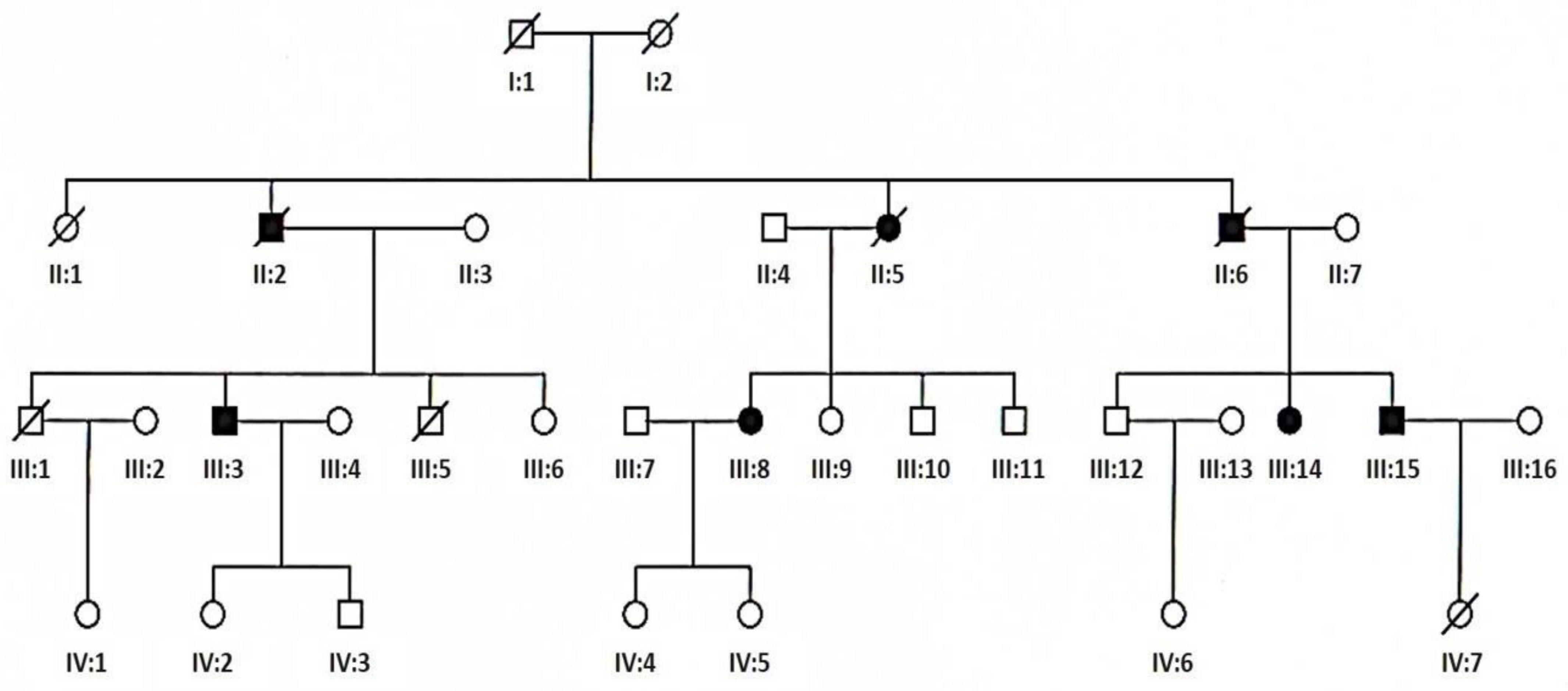 Twnk teen Male Anatomy