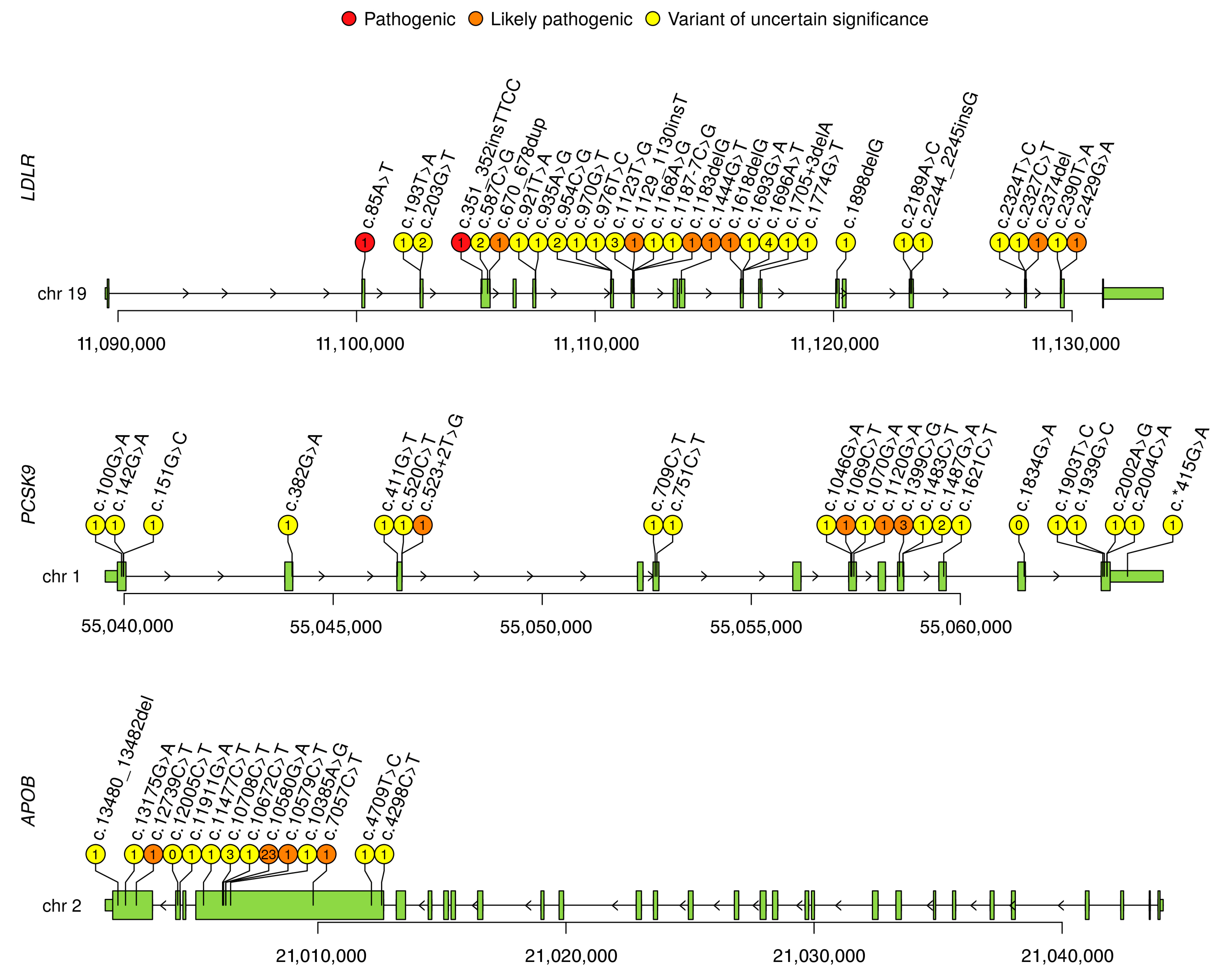 Genes | Free Full-Text | The LDLR, APOB, and PCSK9 Variants of Index  Patients with Familial Hypercholesterolemia in Russia