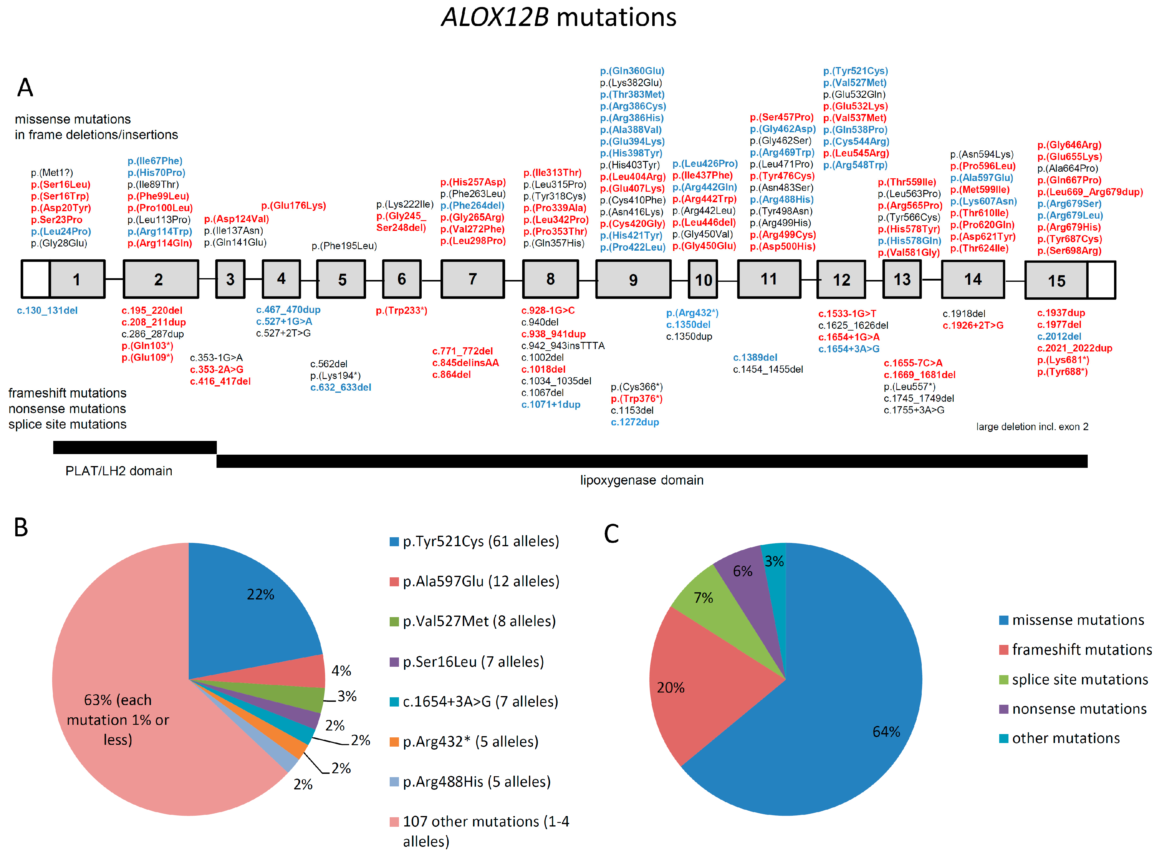 Genes 12 00080 g002a Genes 12 00080 g002a