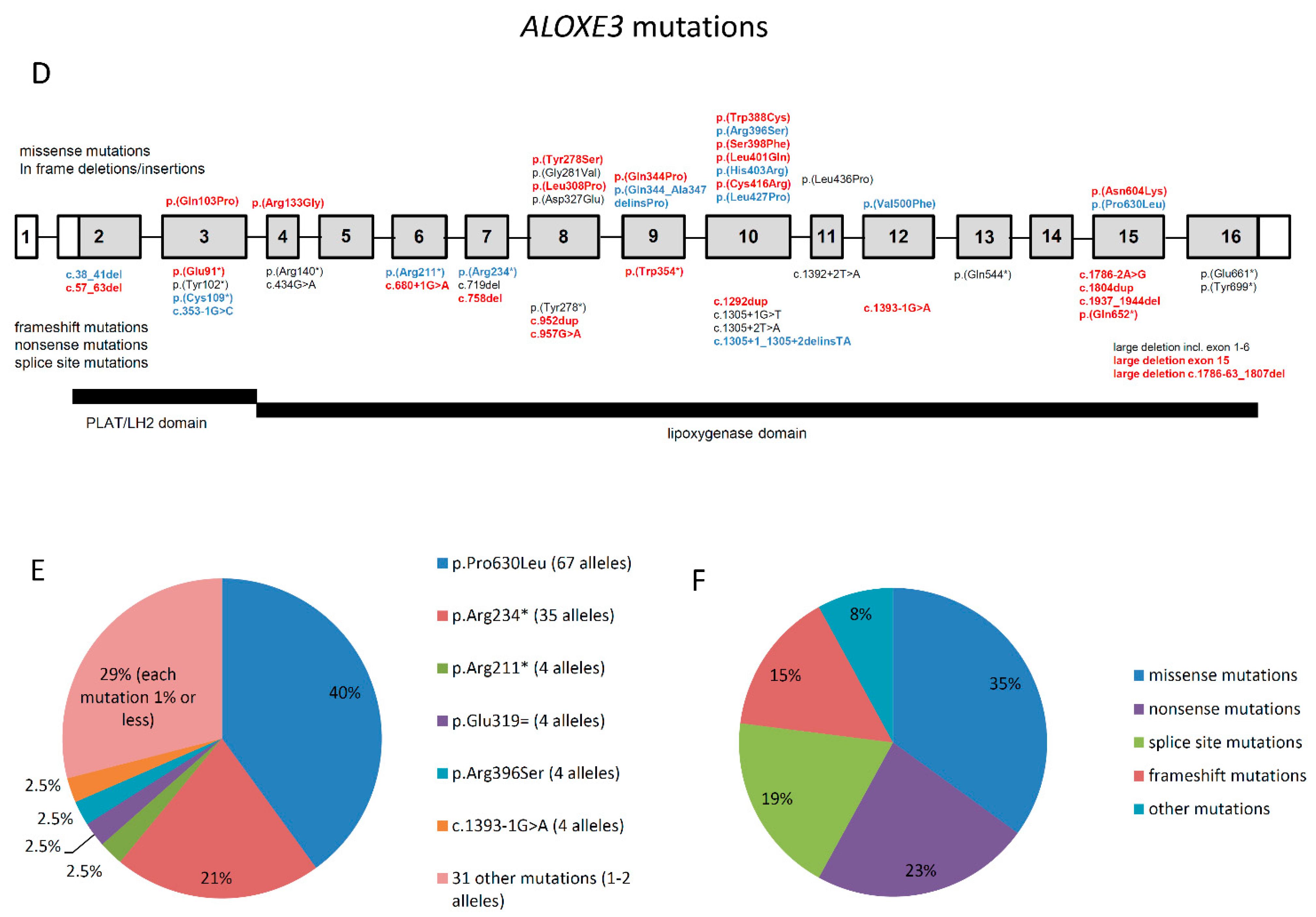 Genes 12 00080 g002b Genes 12 00080 g002b
