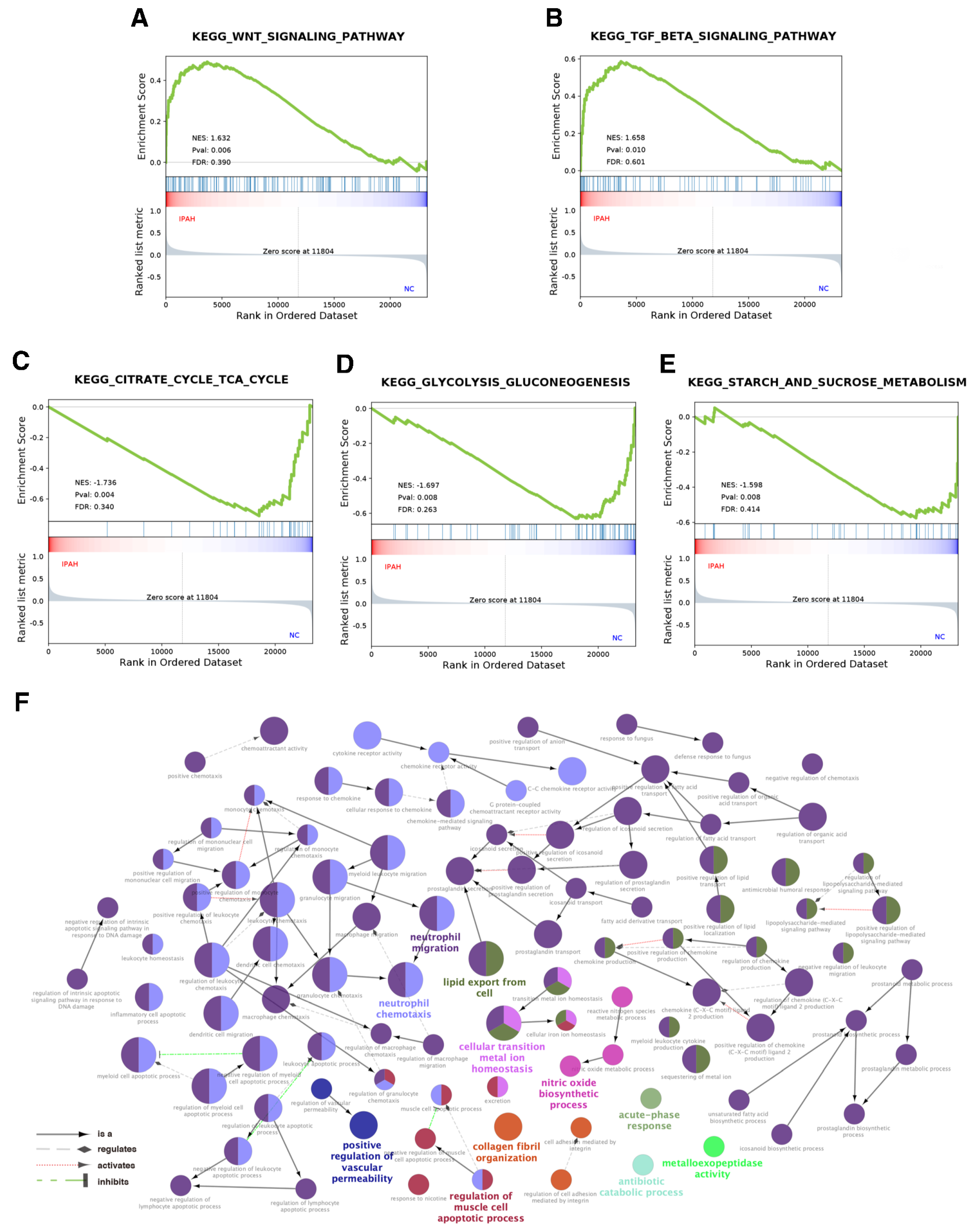 Genes 12 00125 g002 Genes 12 00125 g002