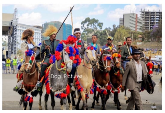 Swedish Equine Scientist Calls for Alternatives to Traditional