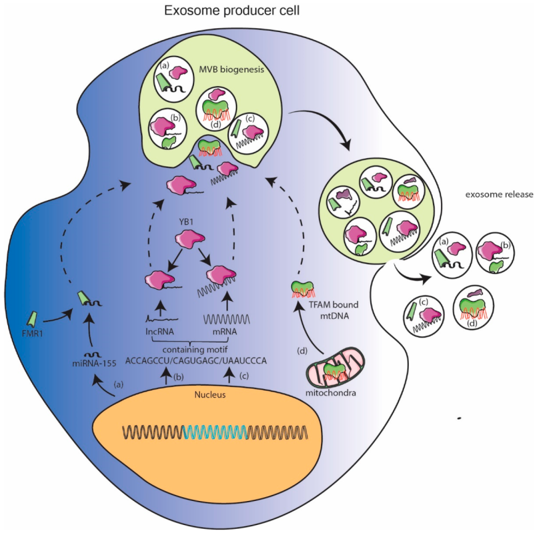 Genes 12 00173 g002 Genes 12 00173 g002