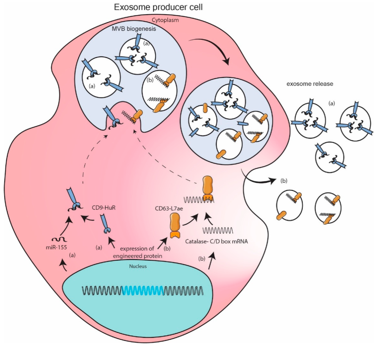 Genes 12 00173 g003 Genes 12 00173 g003