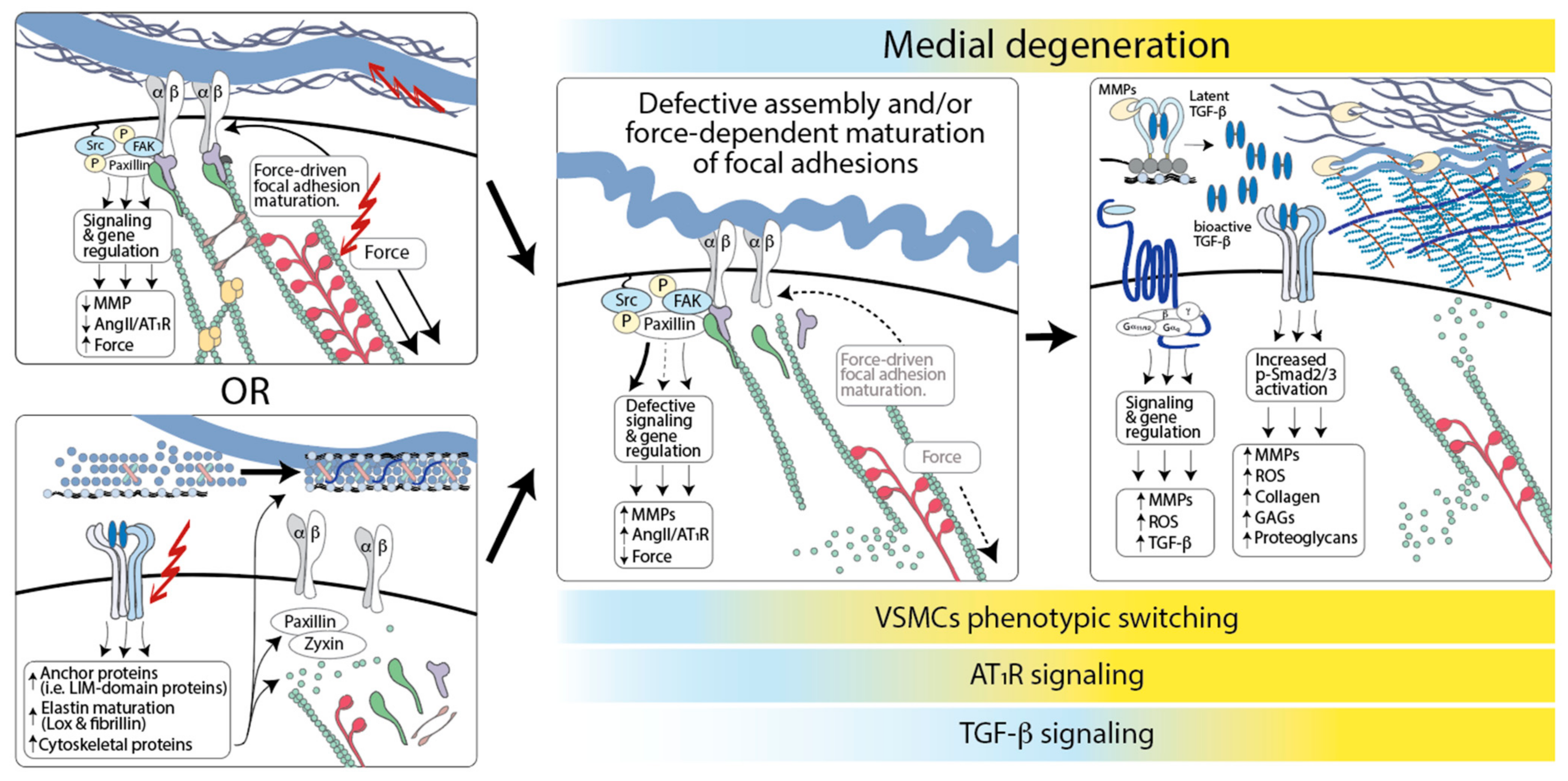 Genes 12 00183 g002 Genes 12 00183 g002